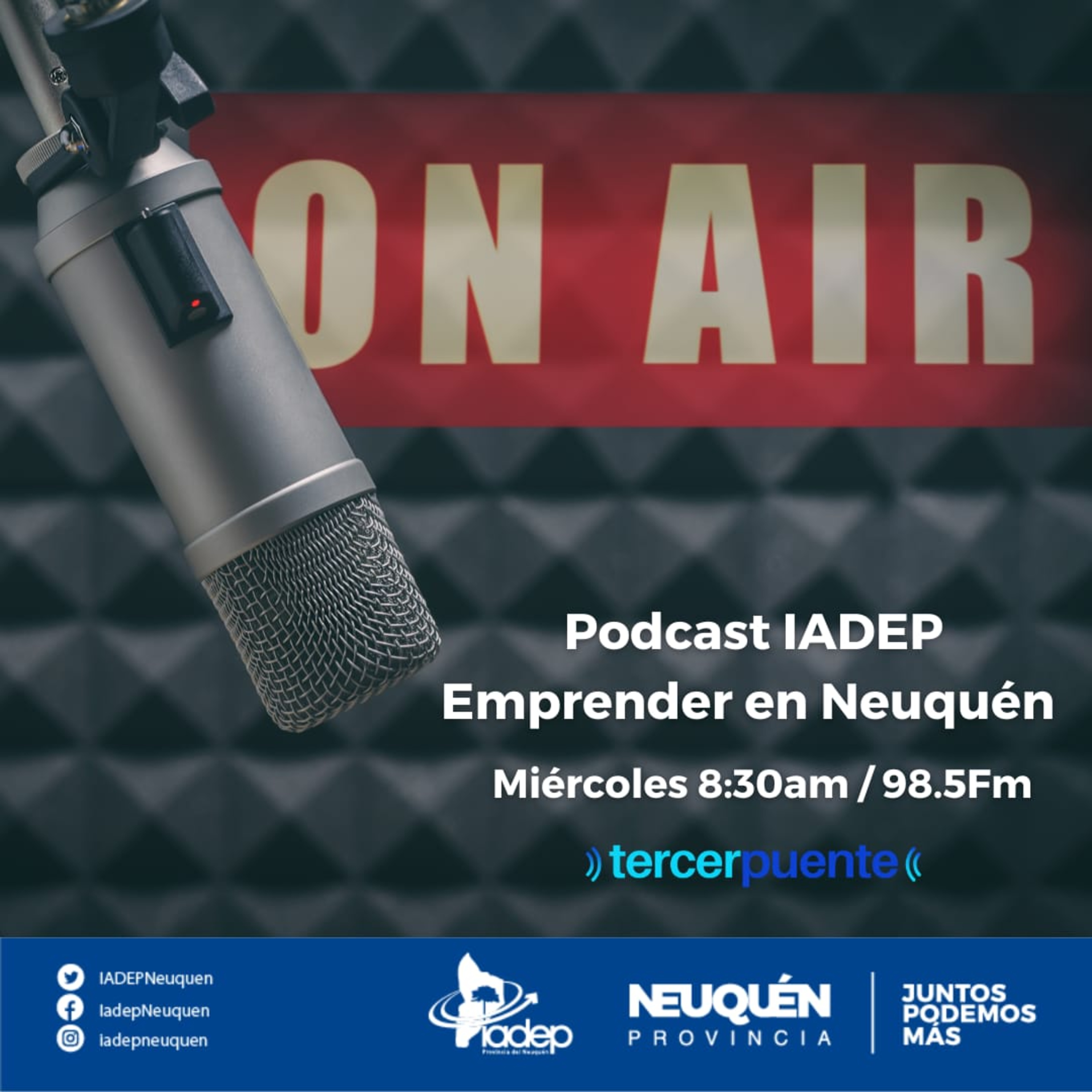 Podcast de Emprendedores del IADEP episode artwork