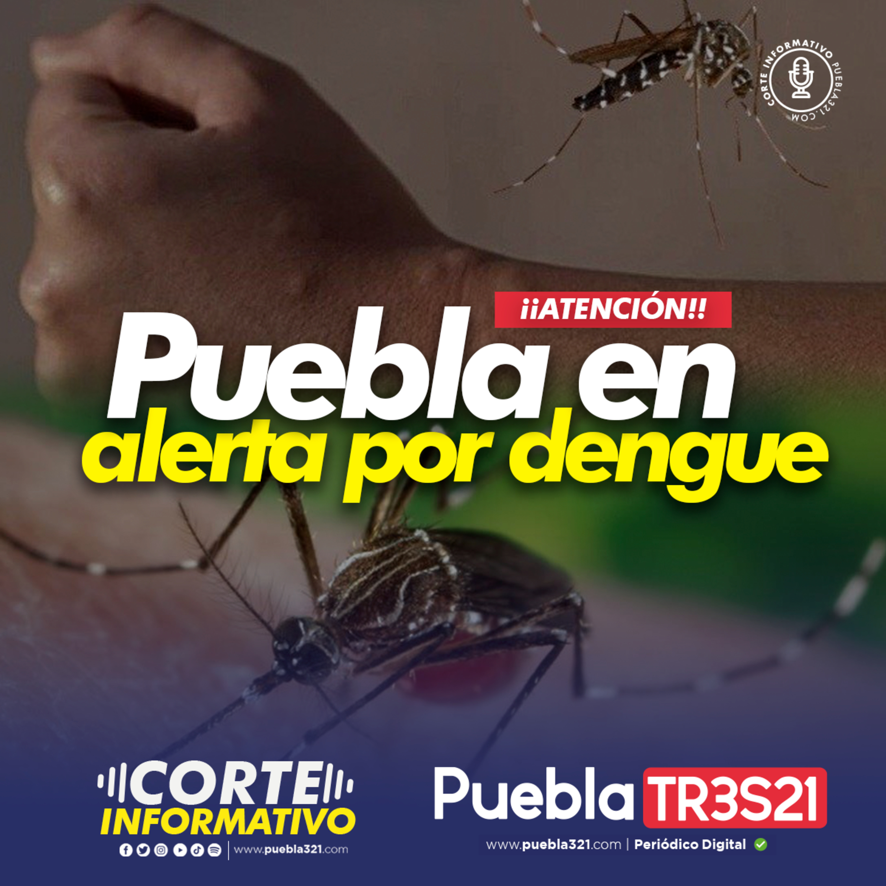 Puebla 321