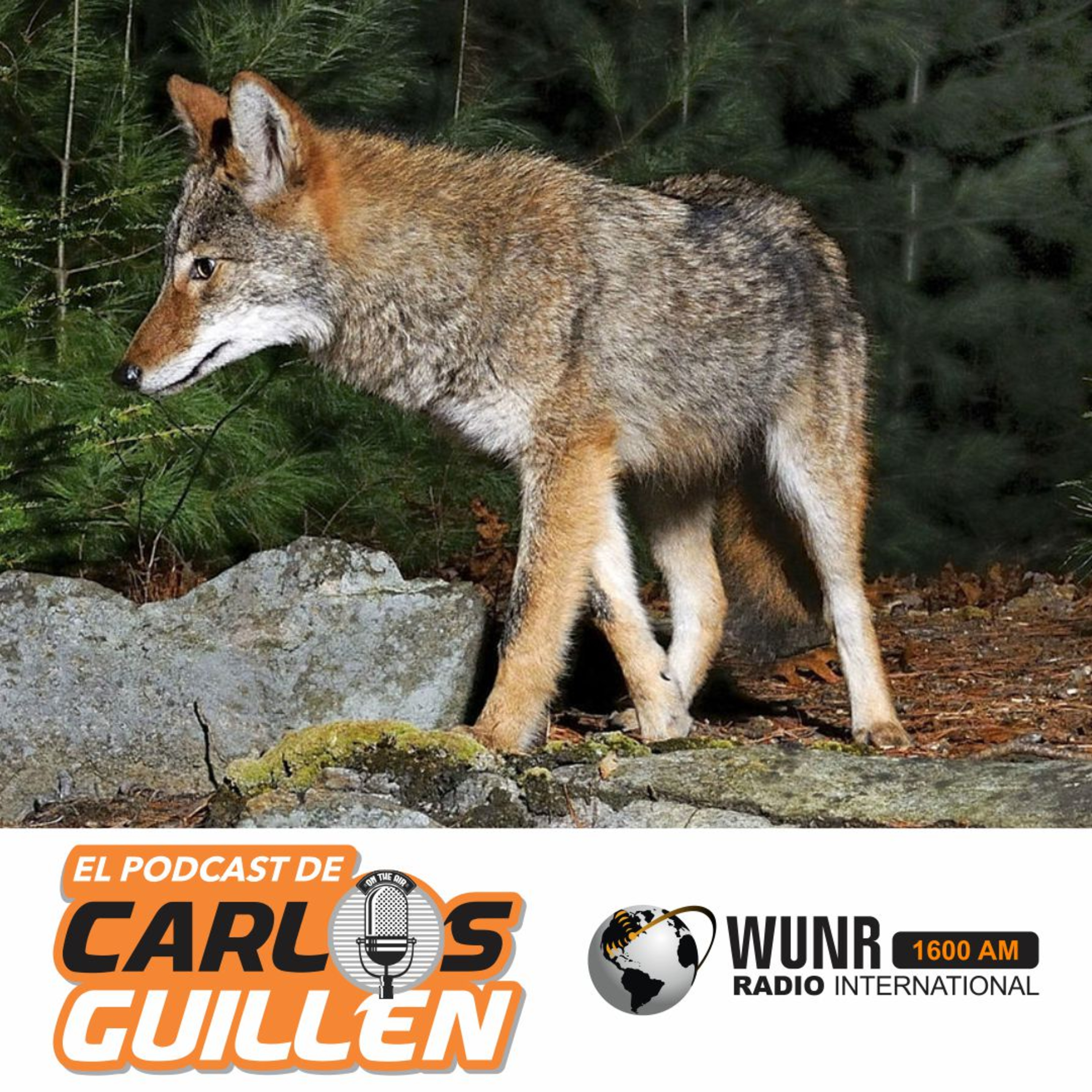 El Show de Carlos Guillen