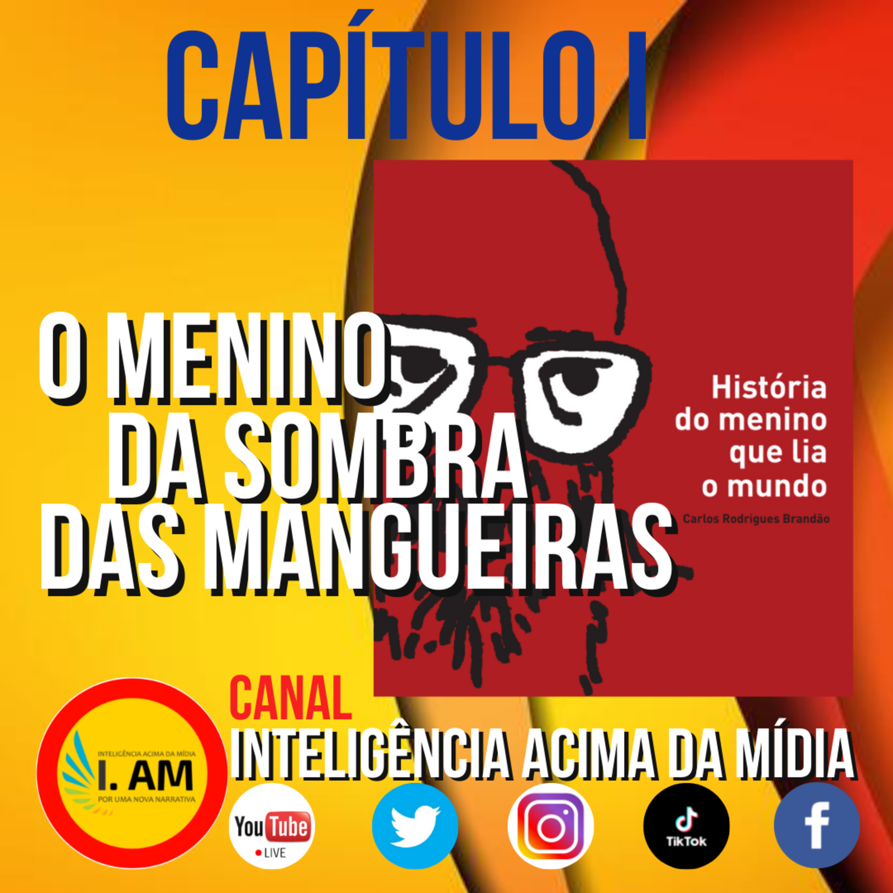 Inteligência Acima da Mídia