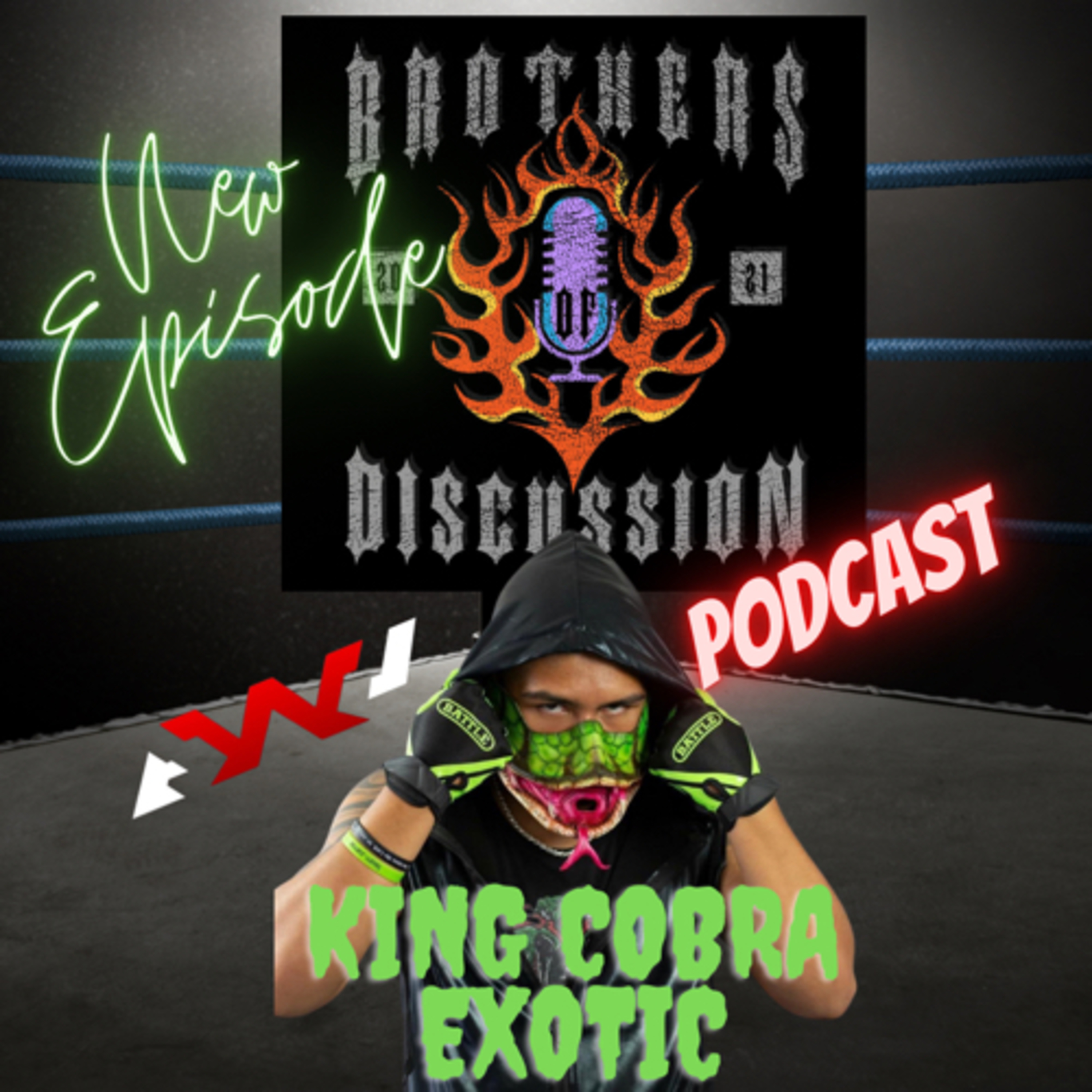 Brothers of Discussion: Pro Wrestling Podcast