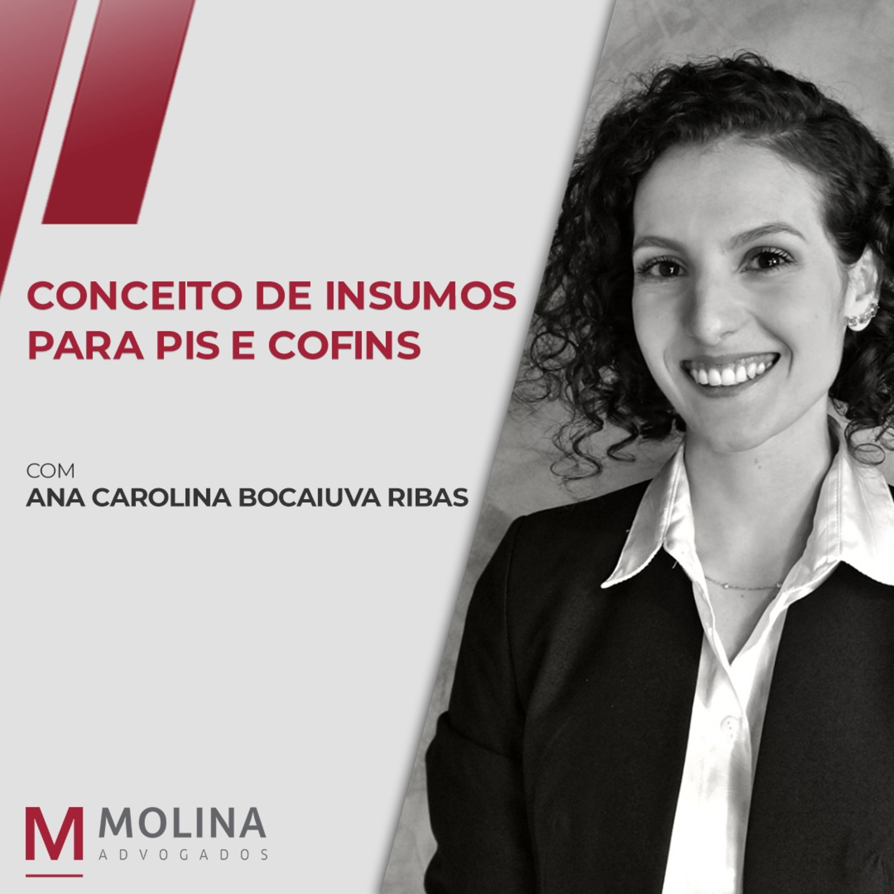Molina Advogados