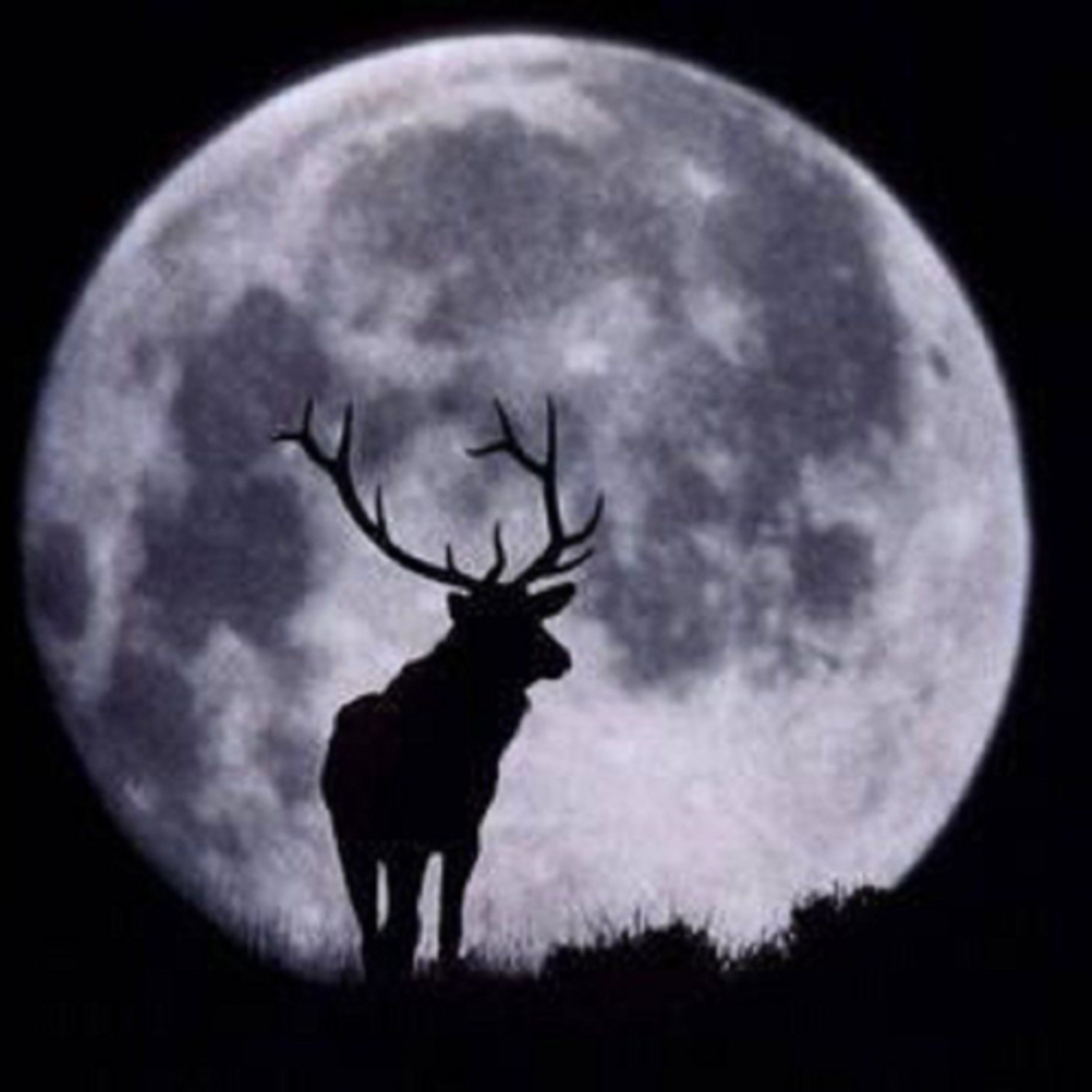 Full Buck Moon Guided Meditation