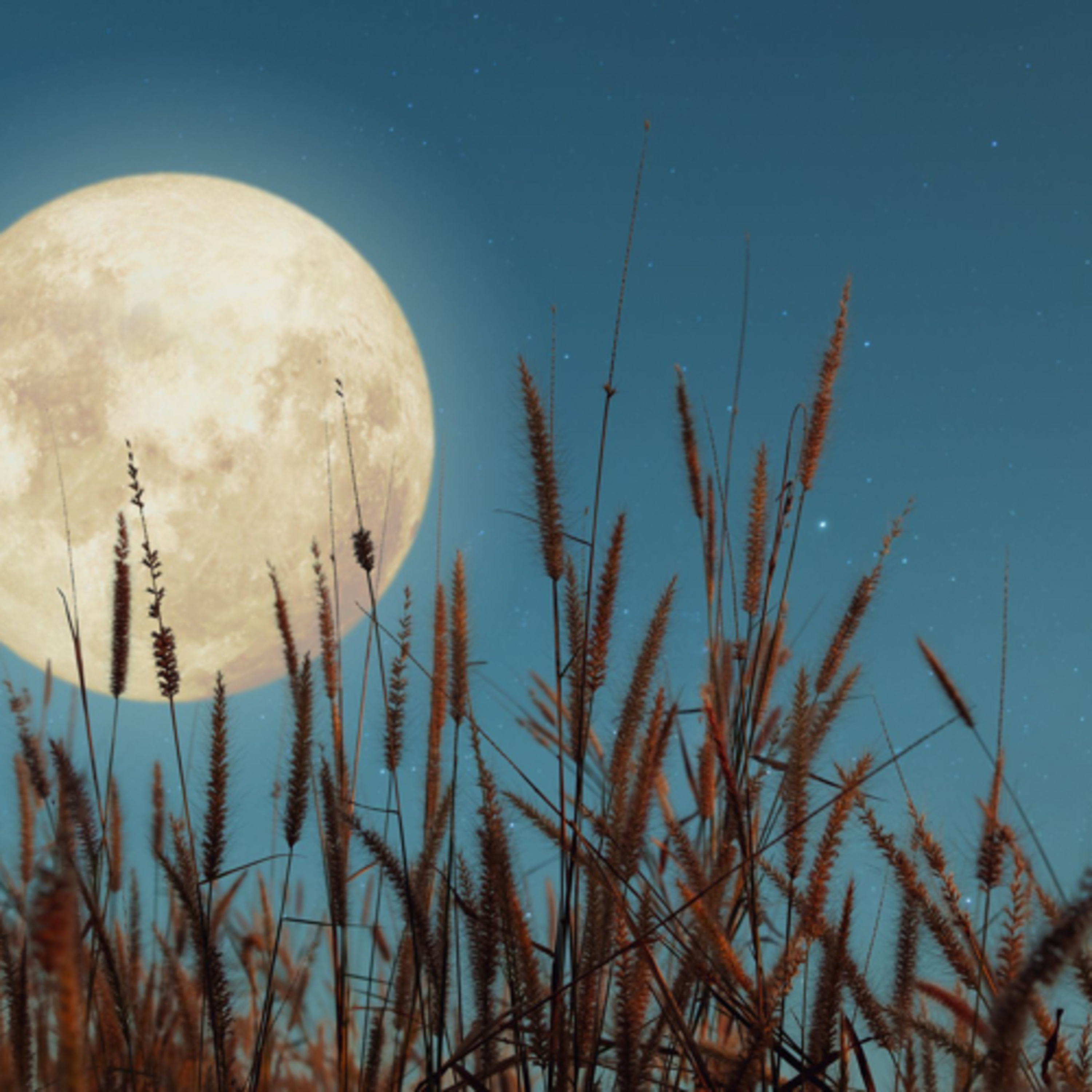 Full Harvest Moon Guided Meditation