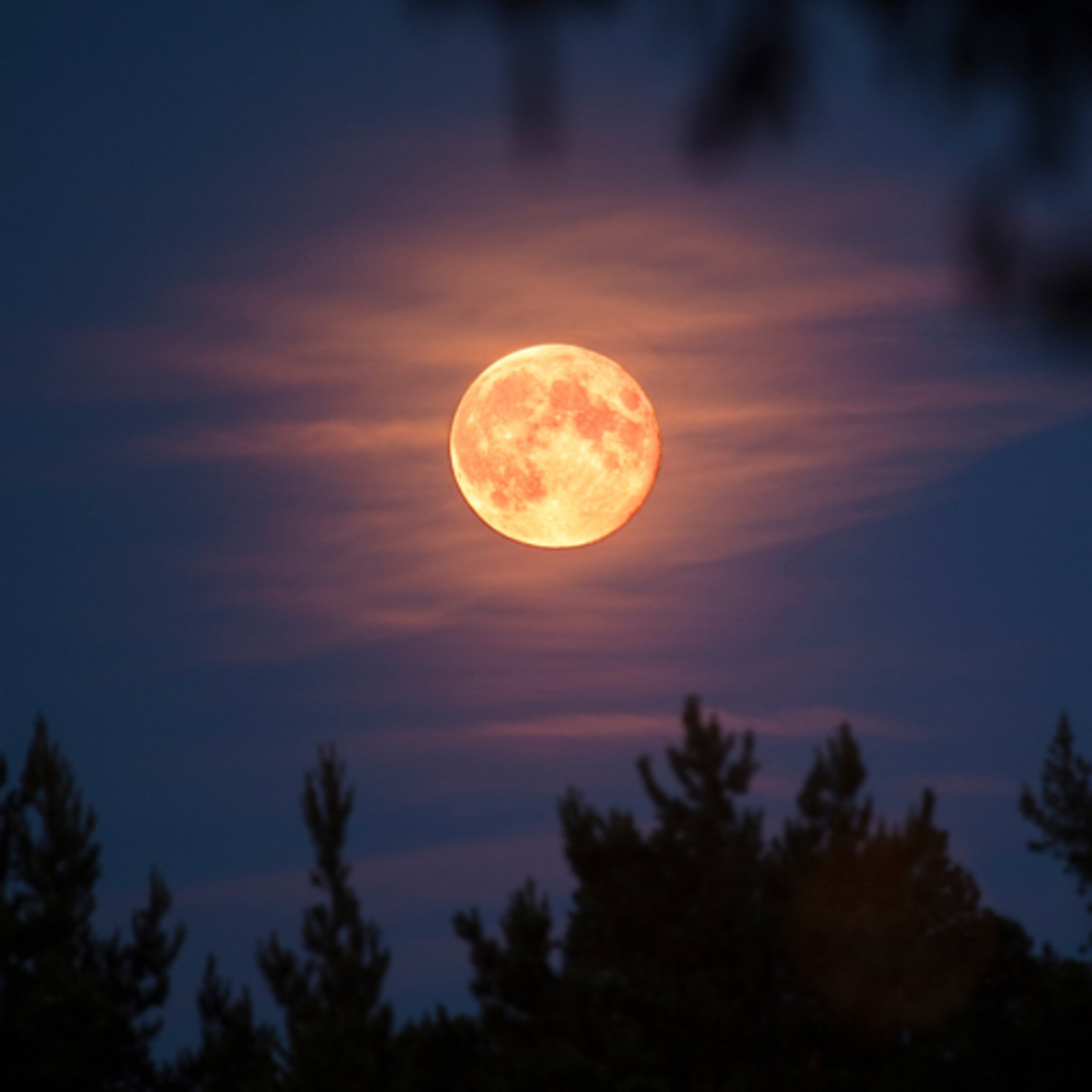 Full Hunter’s Moon Guided Meditation