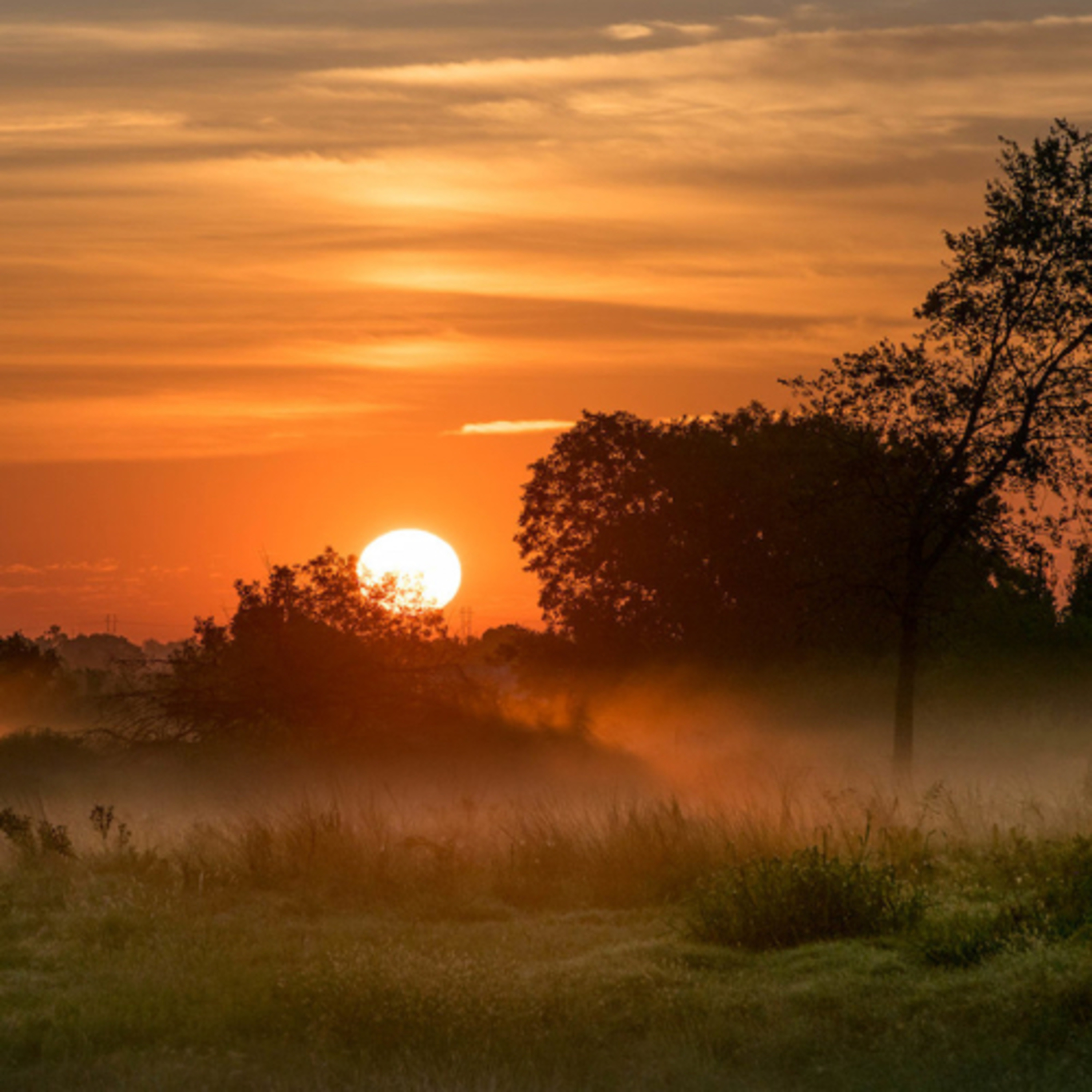 Morning Sounds Meditation