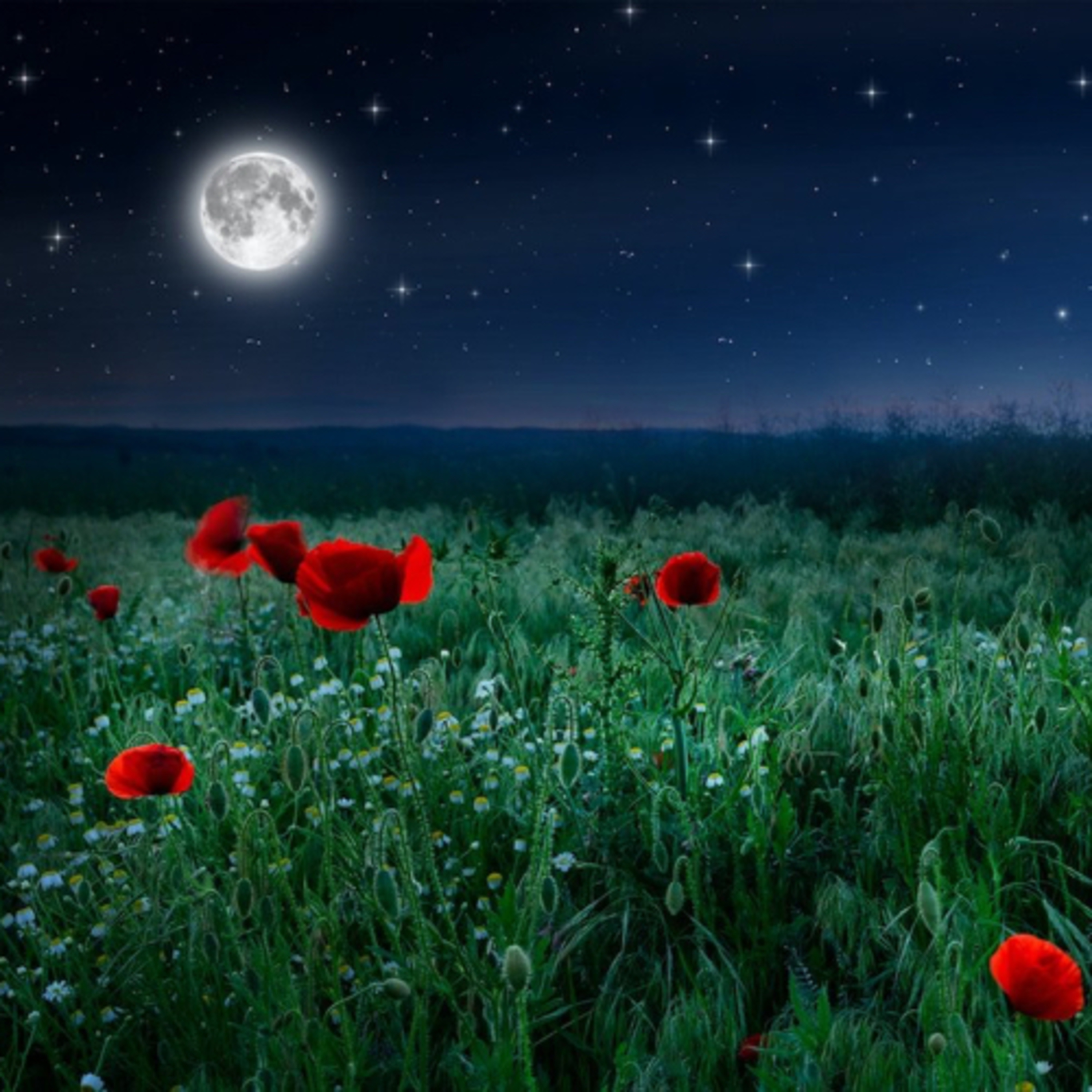 Full Flower Moon Guided Meditation