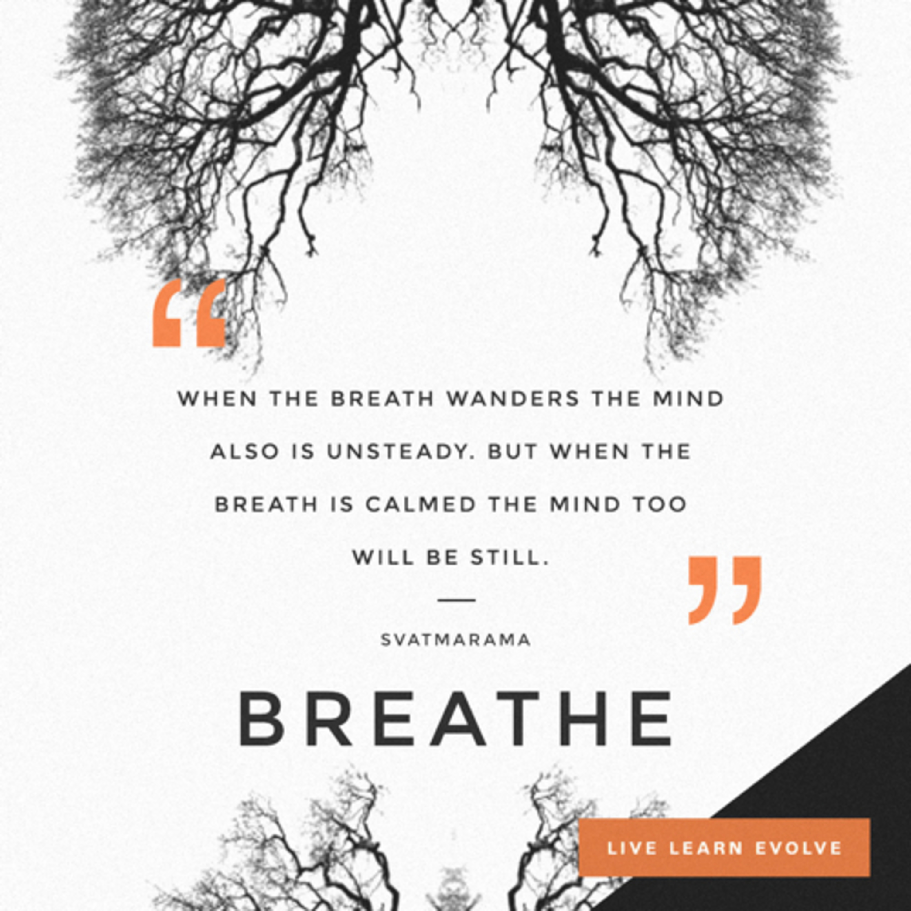 4-7-8 Breathing Technique