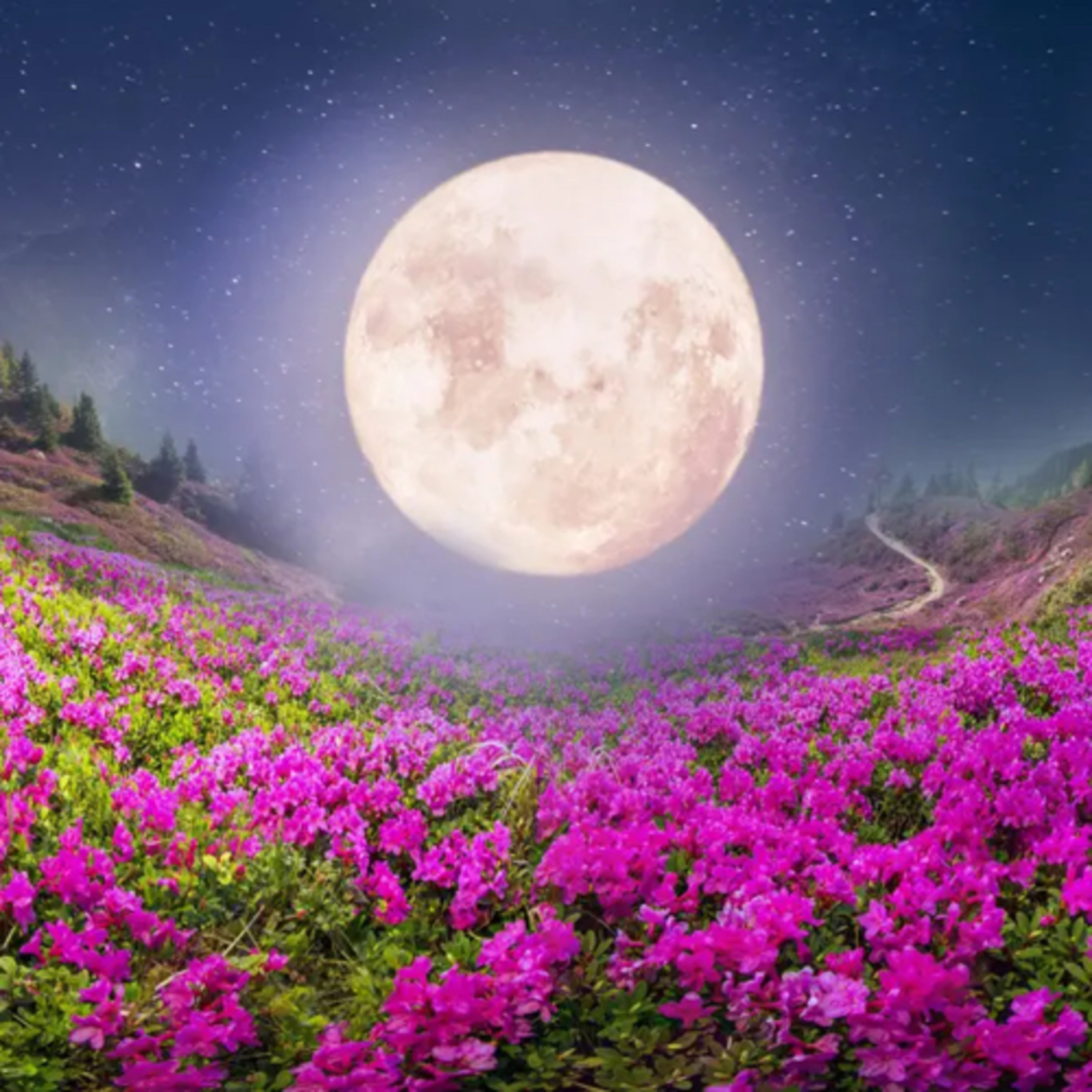 Pink Full Moon Guided Meditation