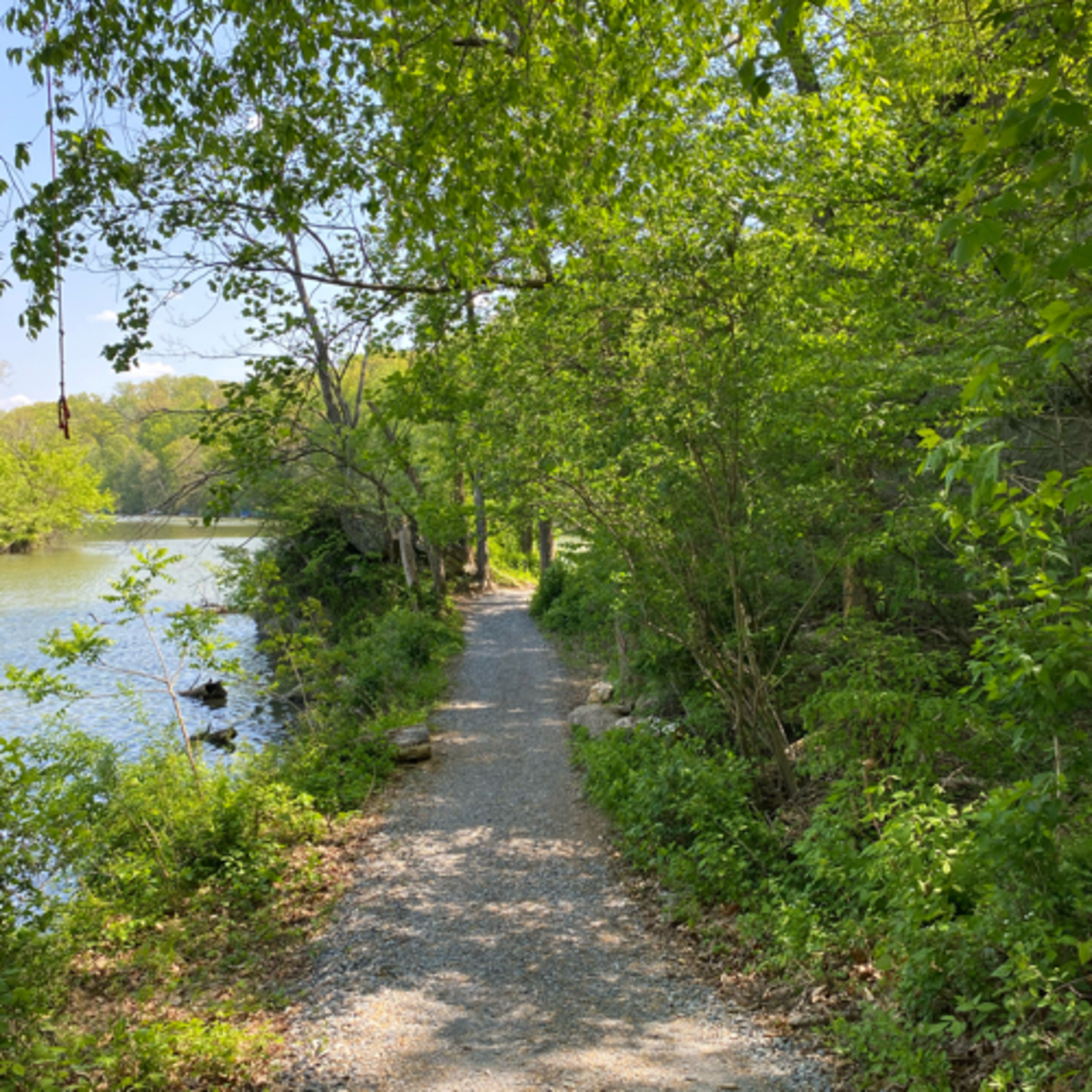 Walking Guided Meditation