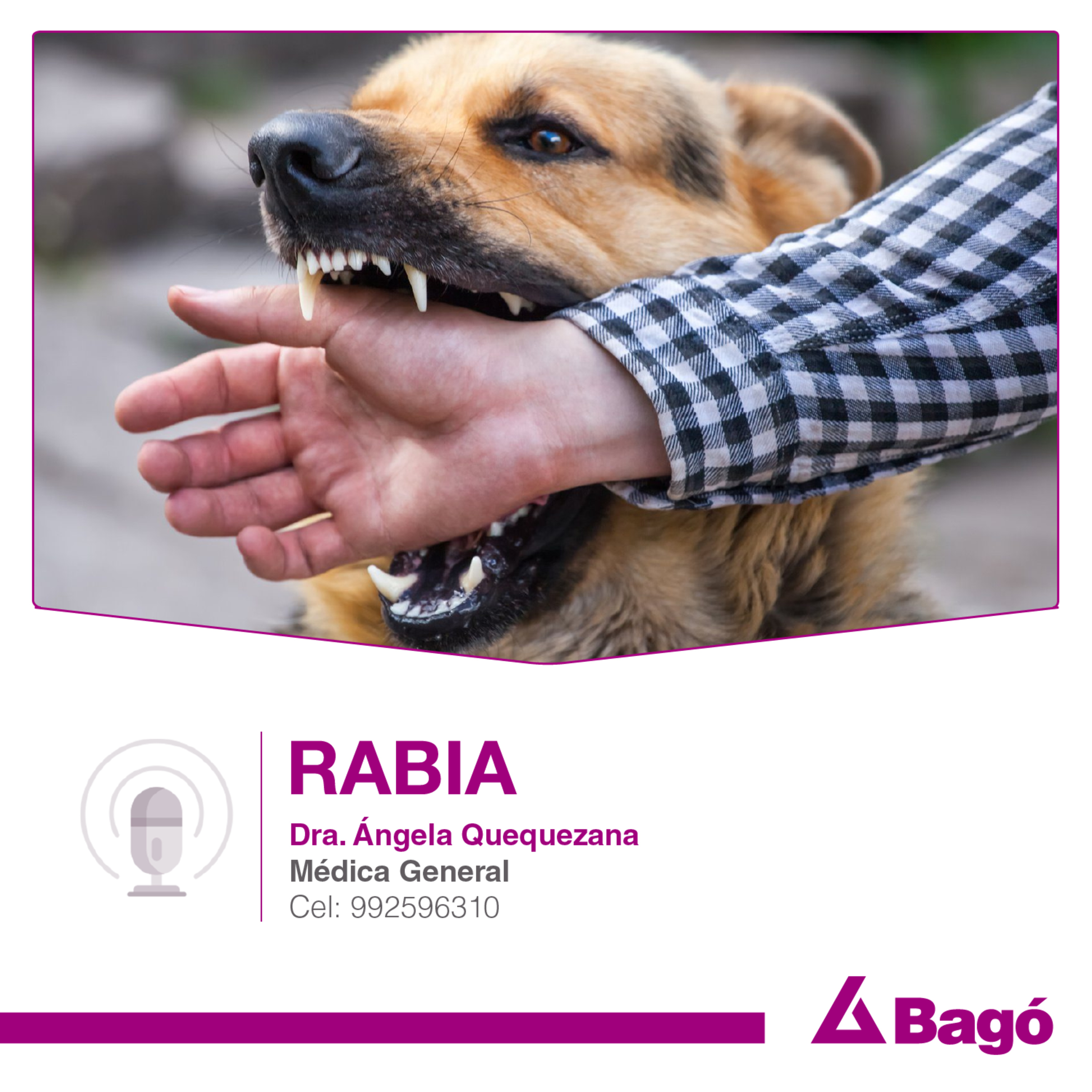 RABIA episode artwork