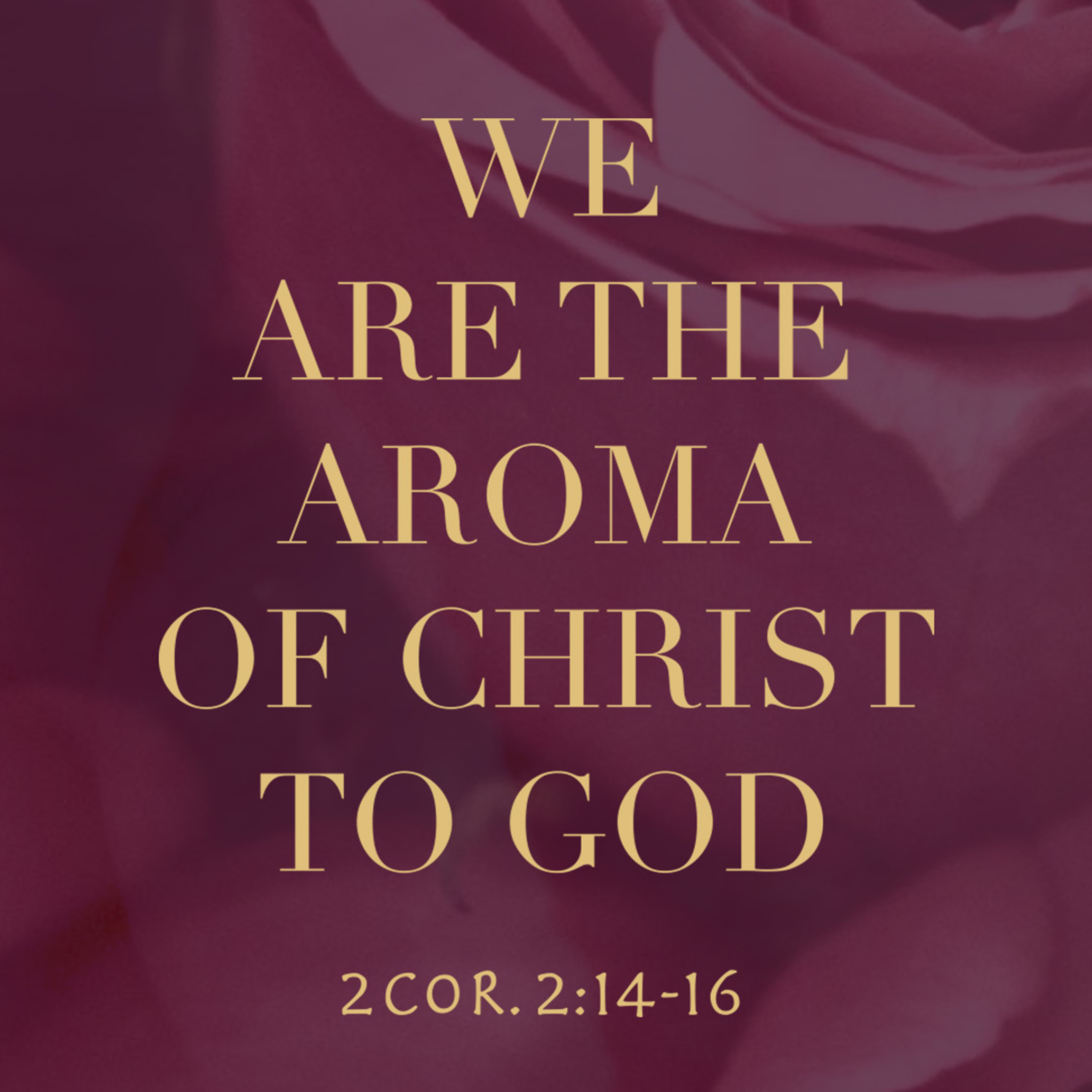 Jesus Youth | Kothamangalam Zone