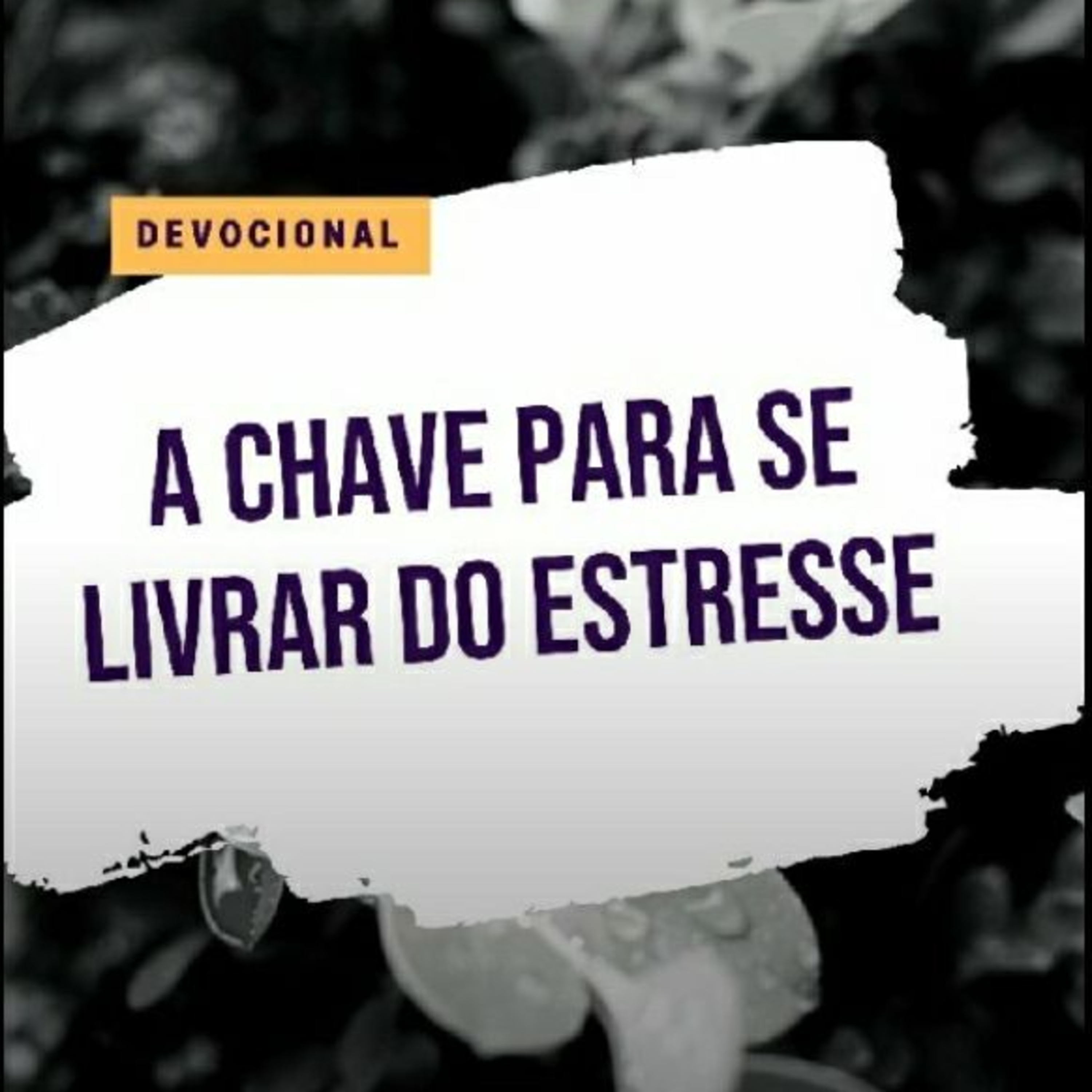 Nova Porto Velho Podcast