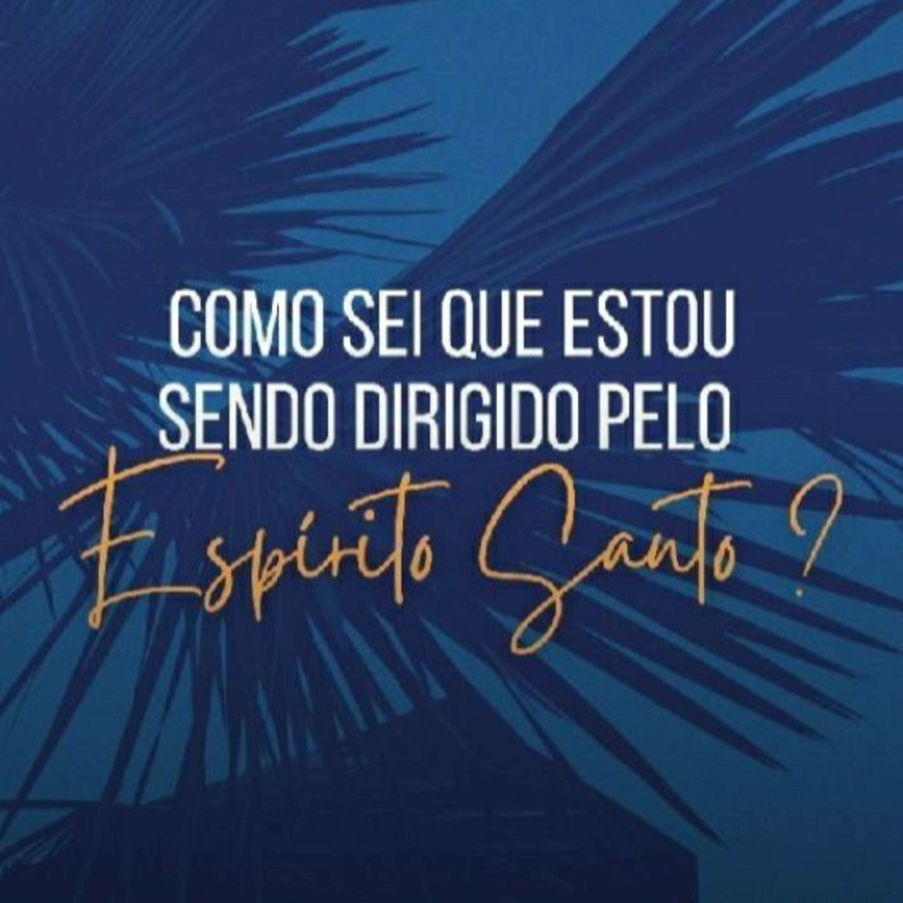 Nova Porto Velho Podcast