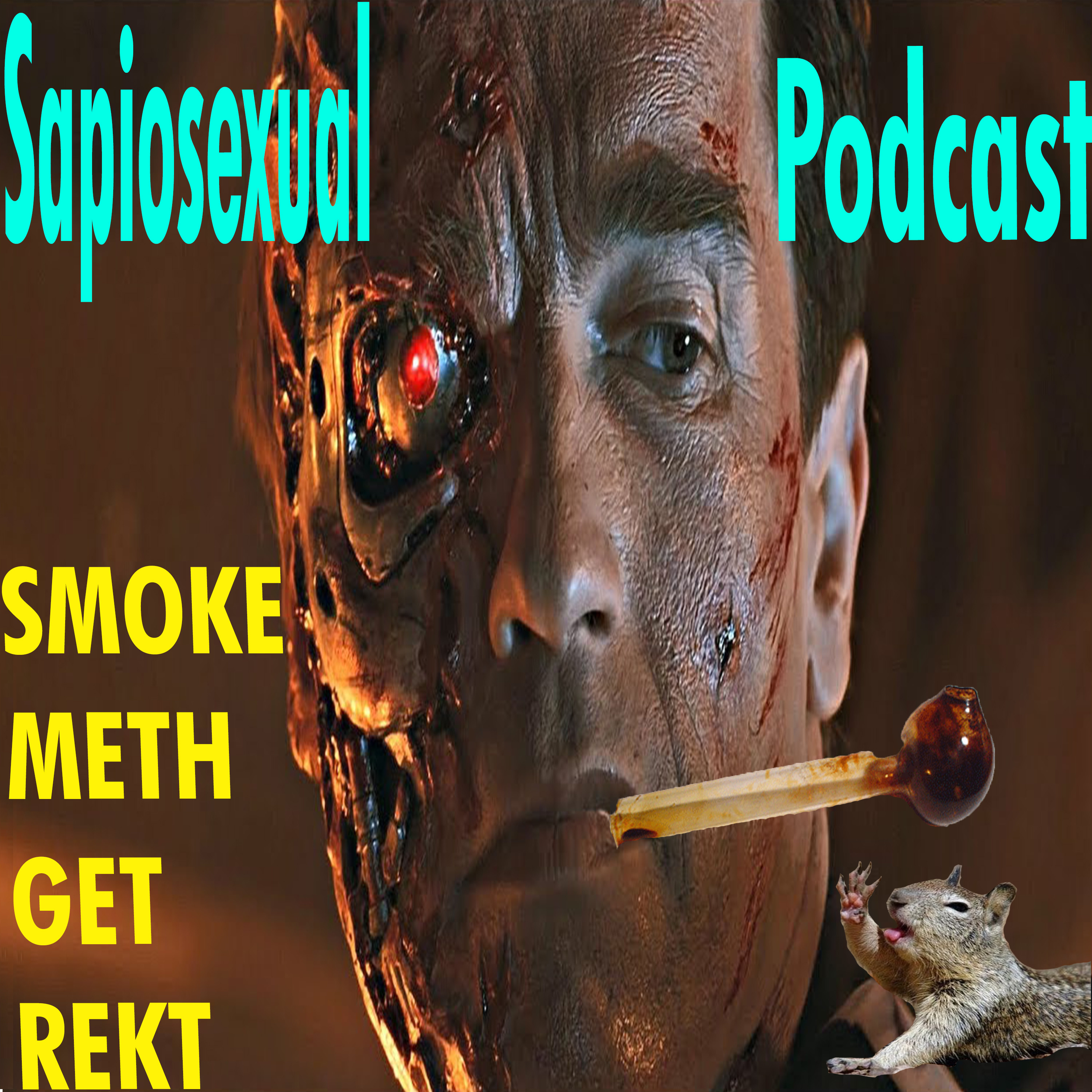 Sapiosexual Podcast