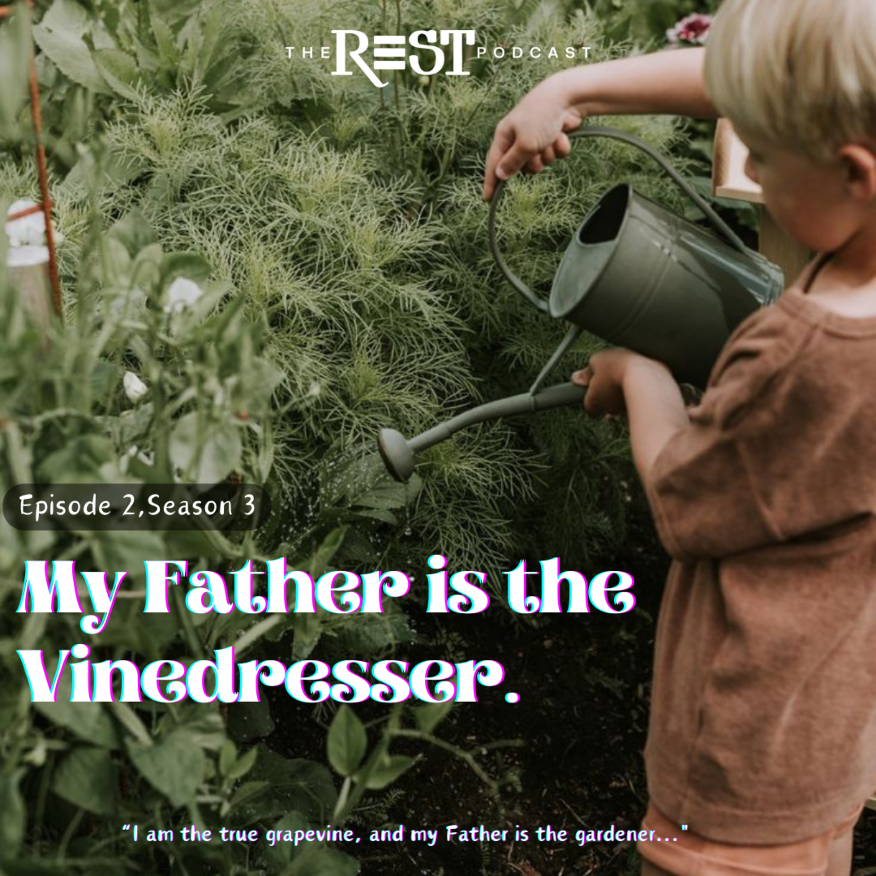 MY FATHER IS THE VINEDRESSER 🍇 episode artwork