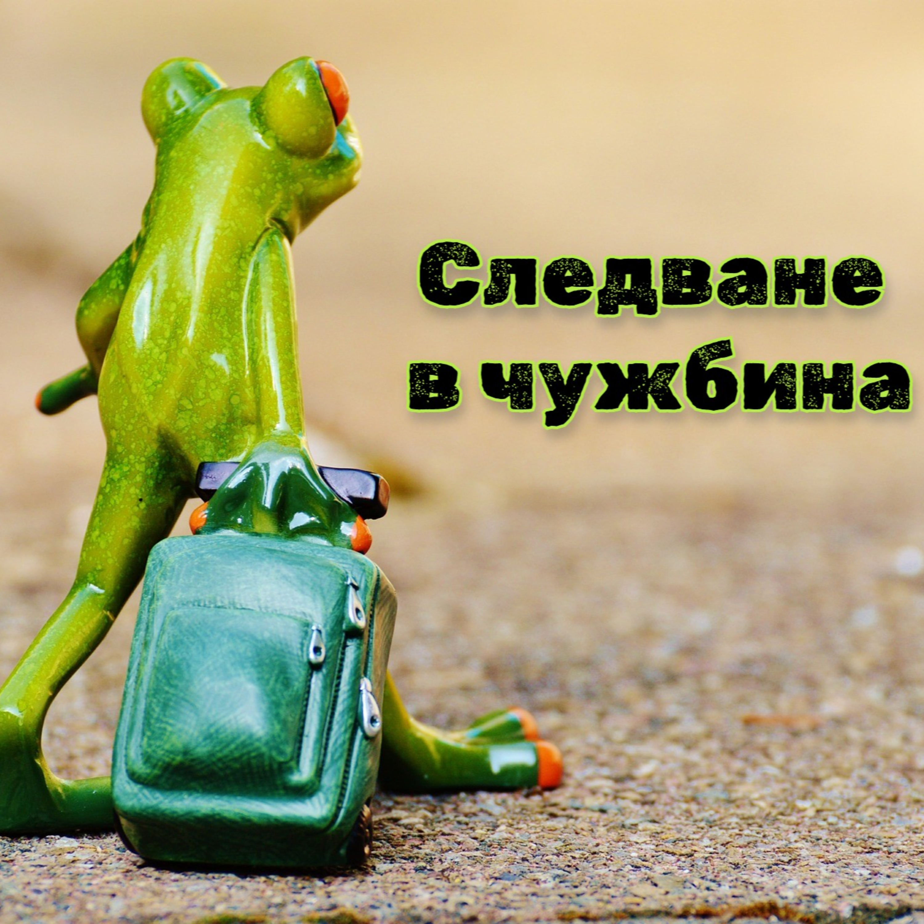 Следване в чужбина - Епизод 7 episode artwork