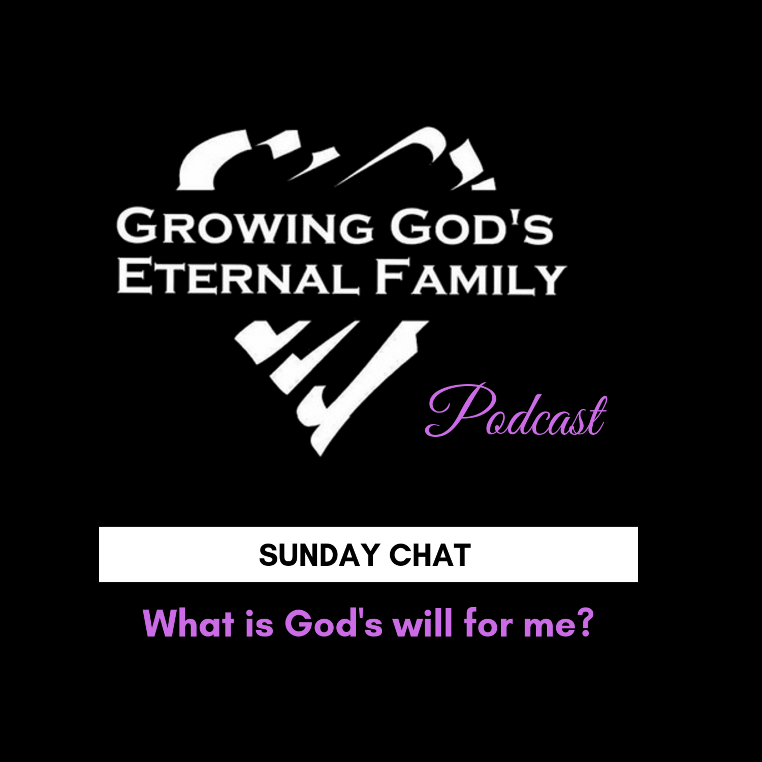 Sunday Chat: What is God's will for me?