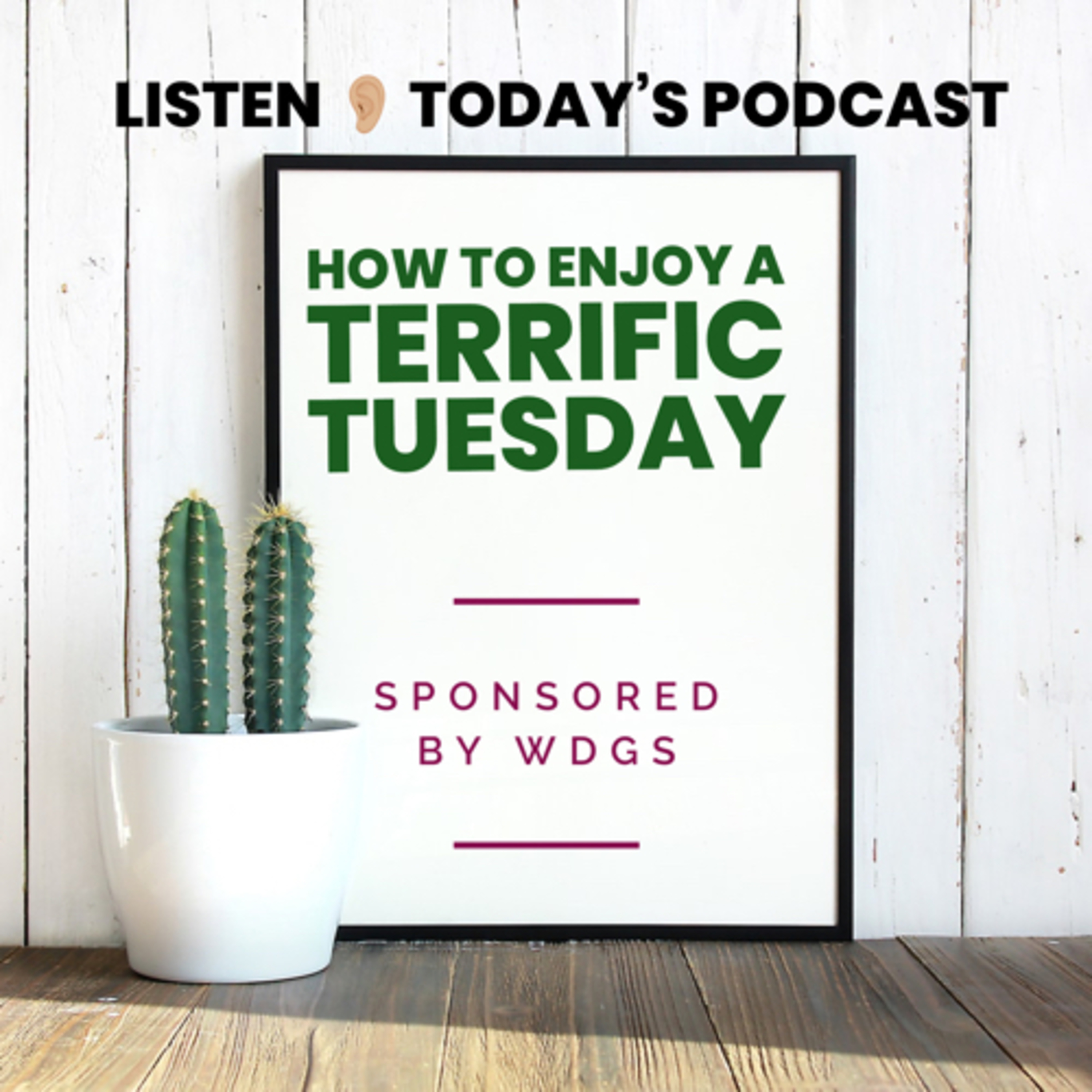 START A TERRIFIC TUESDAY TODAY  episode artwork
