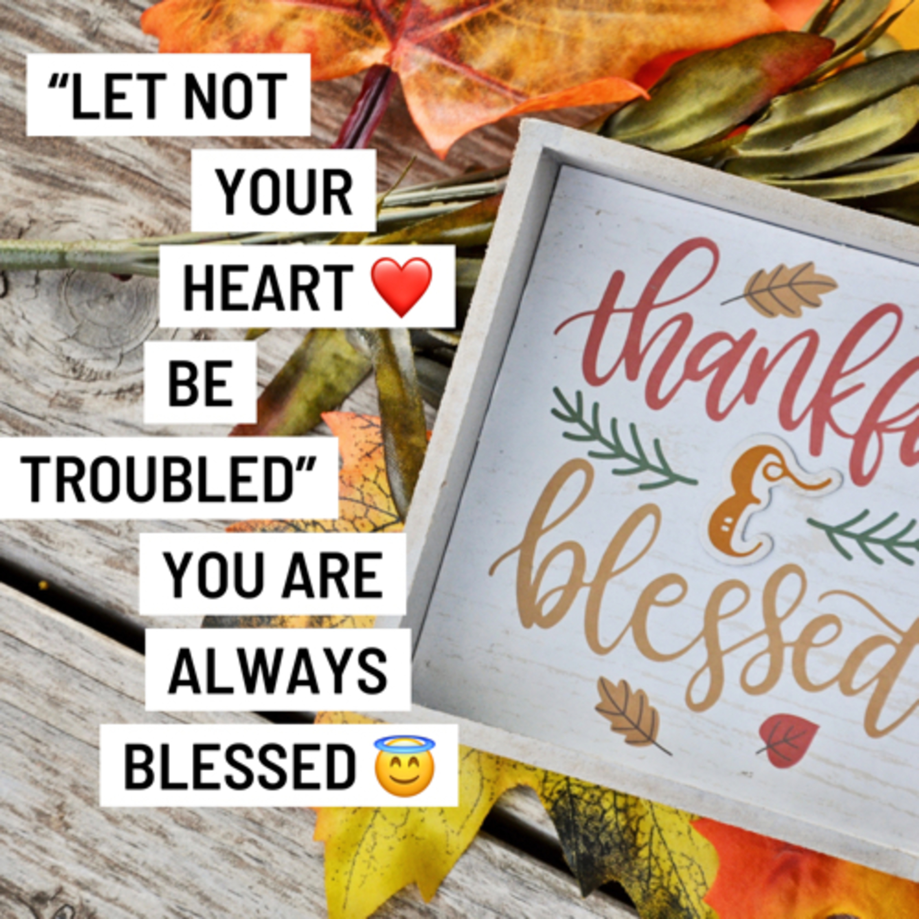 GIVE A THANKFUL HEART ❤️ TO GET BIGGER BLESSINGS  episode artwork
