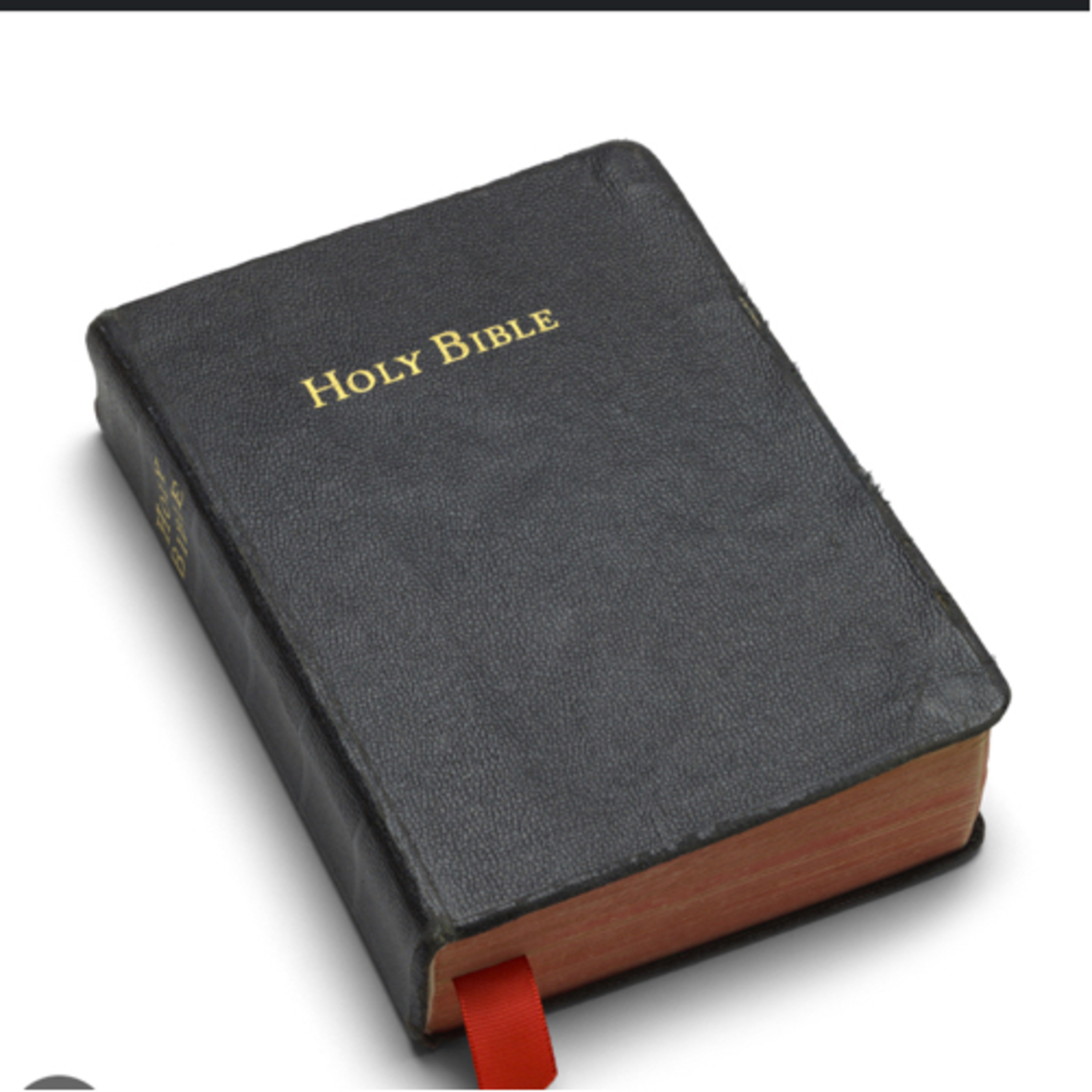 UNDERSTANDING WHY WE NEED THE BIBLE 📖💯✅📓 episode artwork