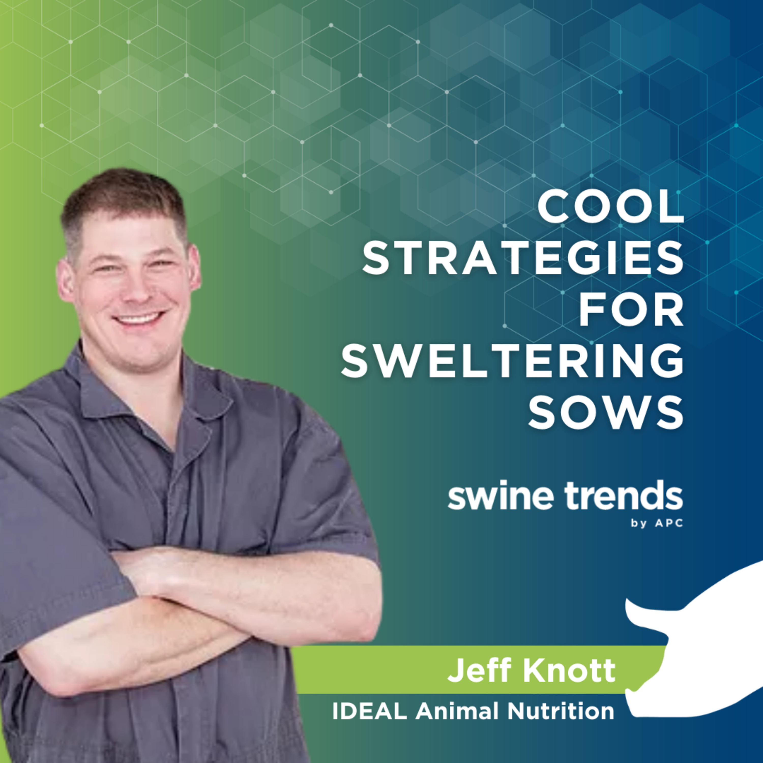 Swine Trends by APC