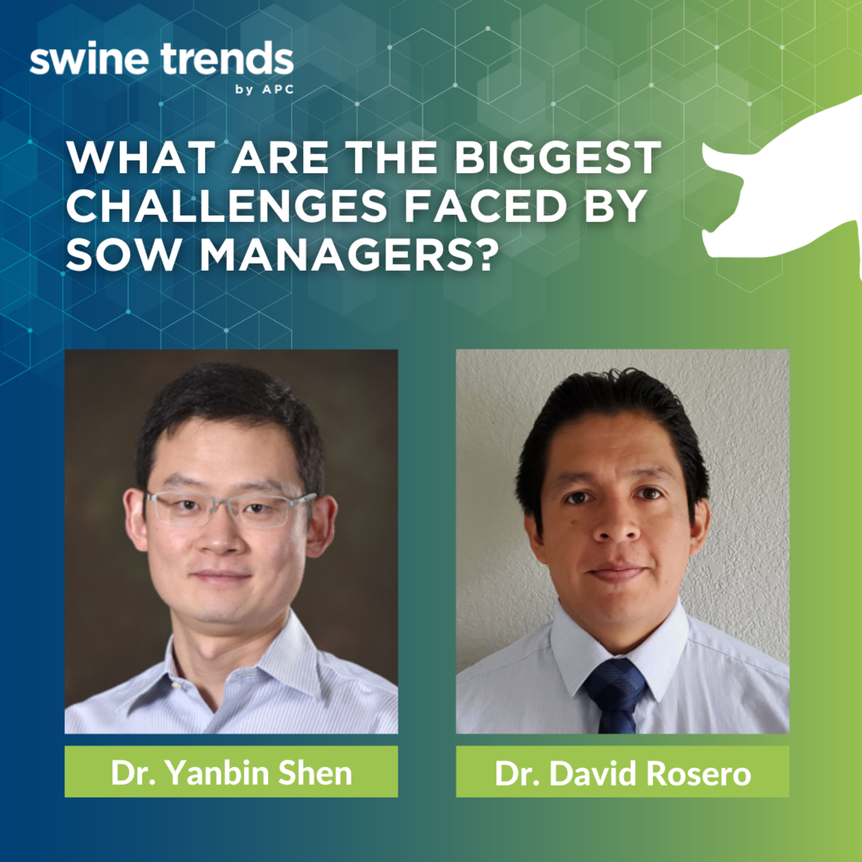 Swine Trends by APC