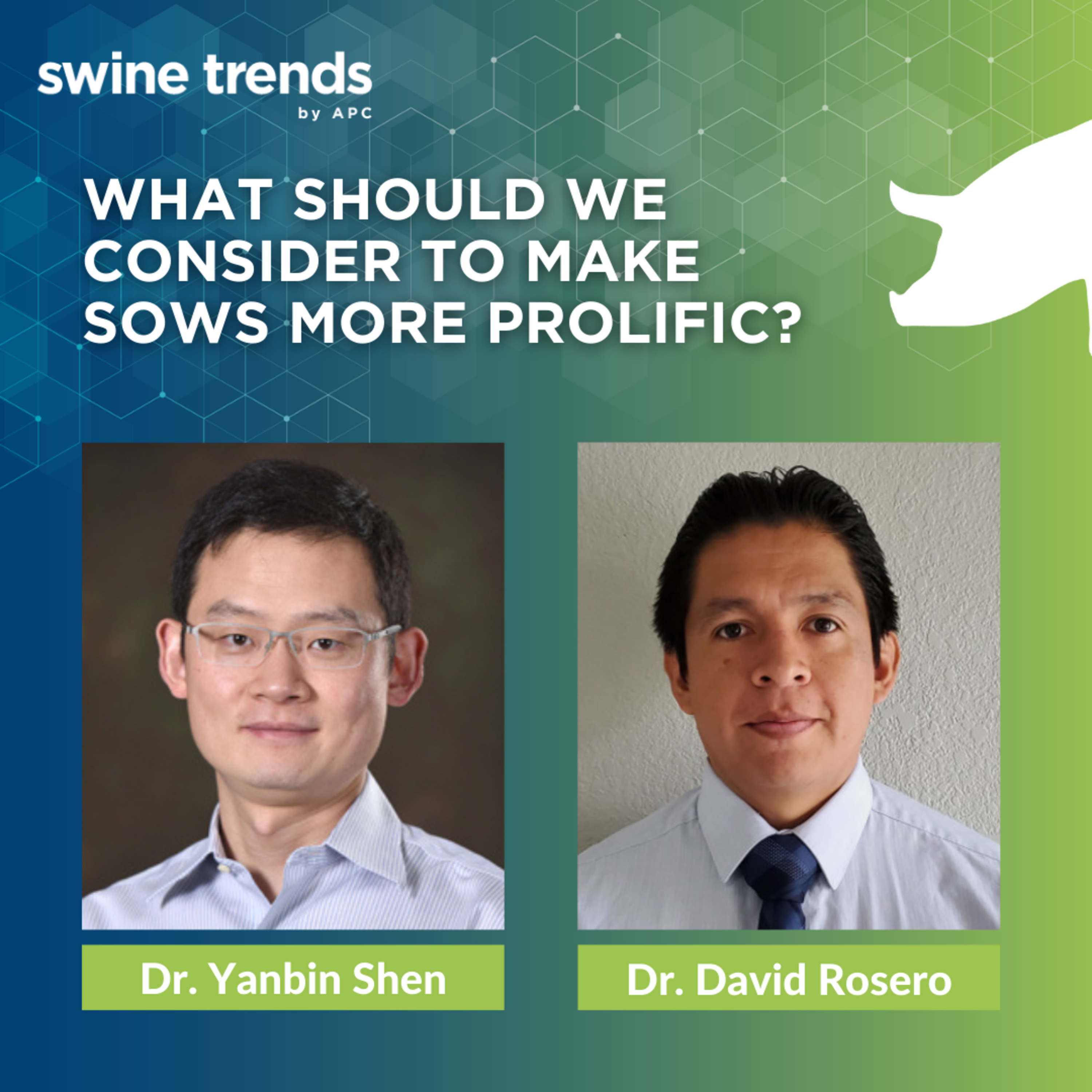 Swine Trends by APC