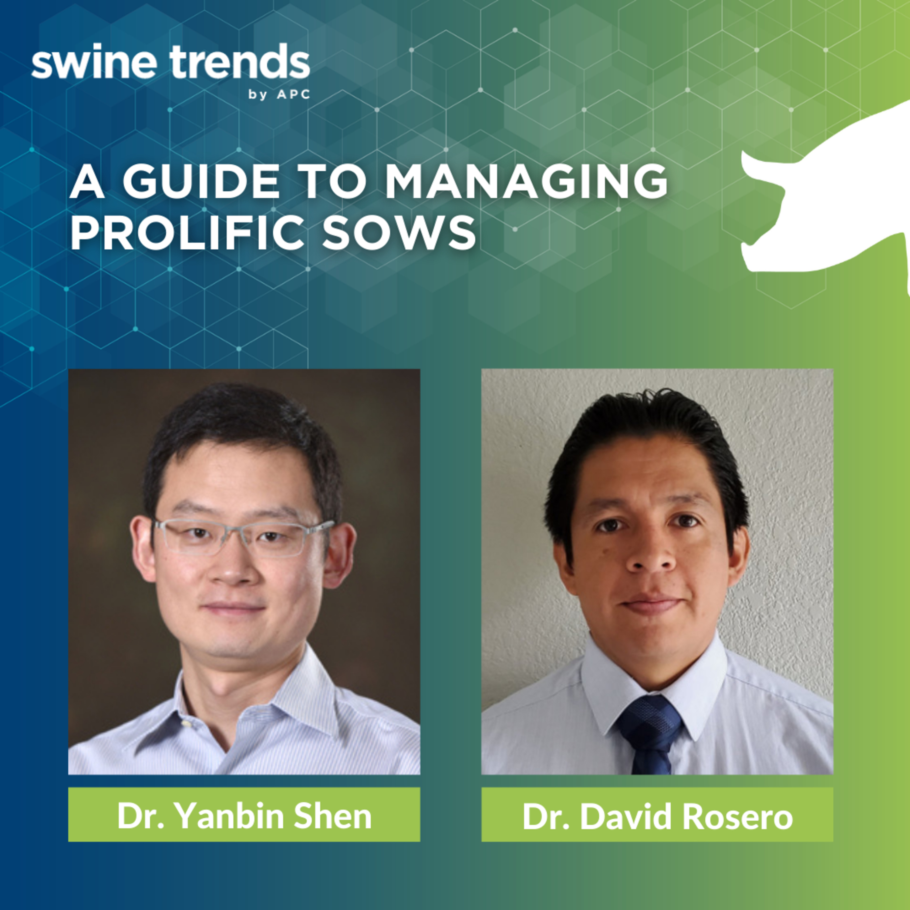 Swine Trends by APC