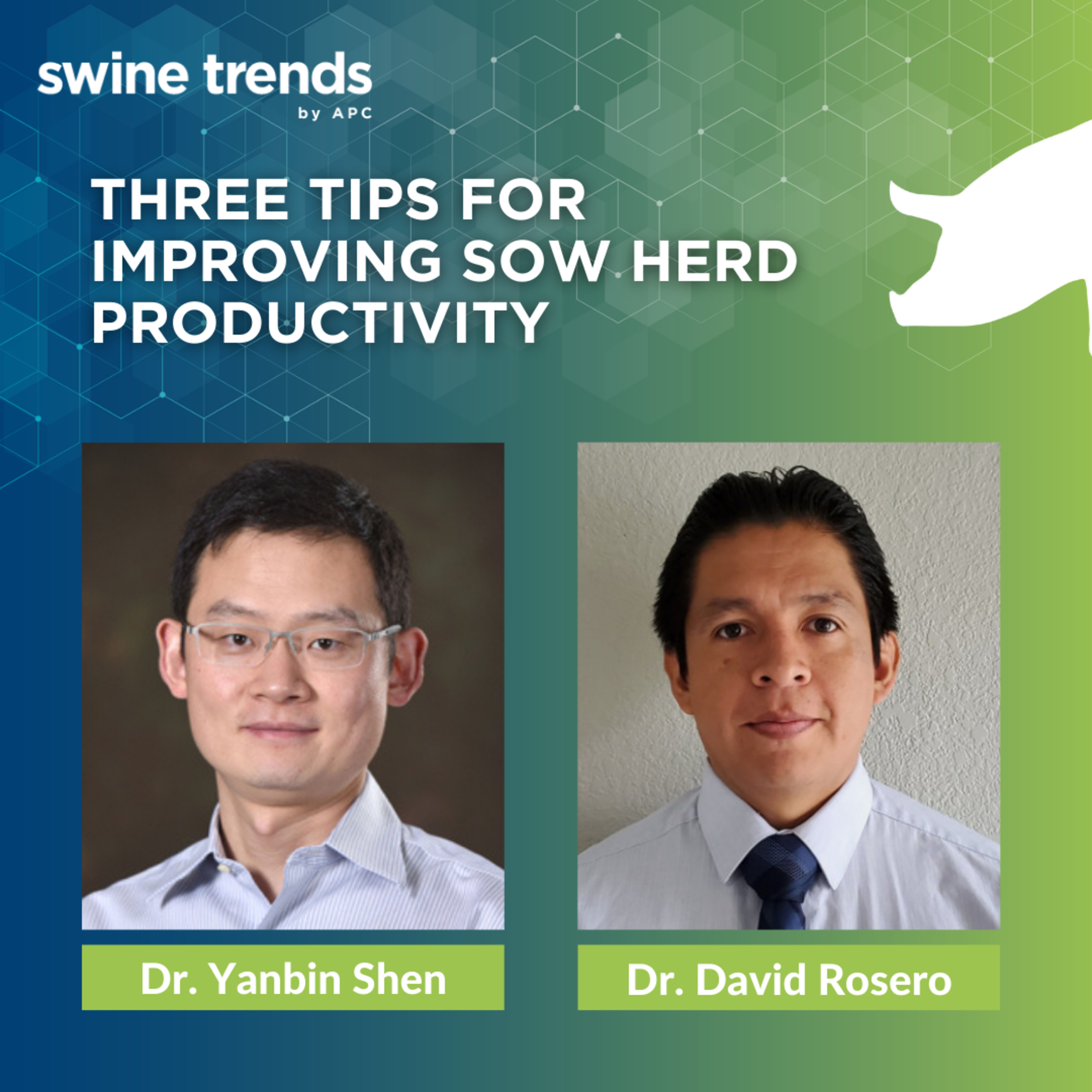 Swine Trends by APC
