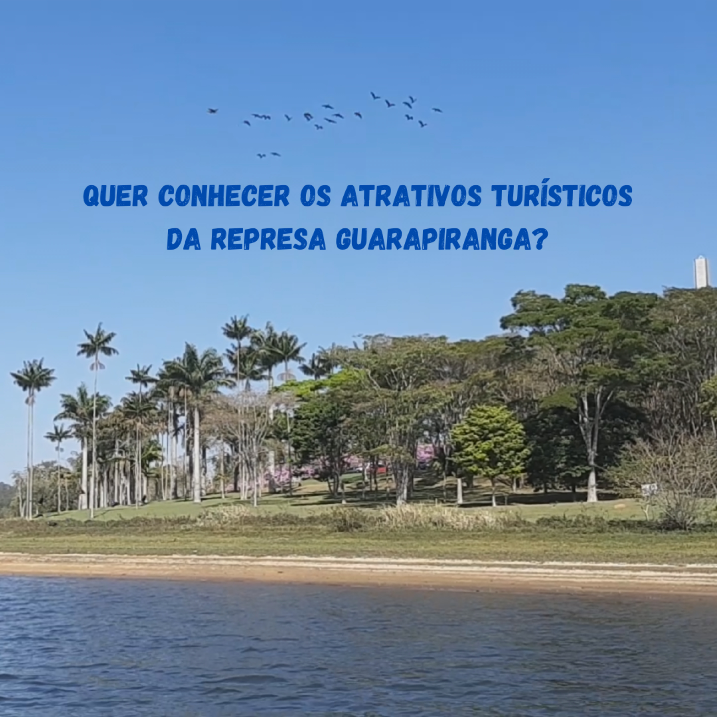 Liberdade Sol e Mar com Flávio Bernardes