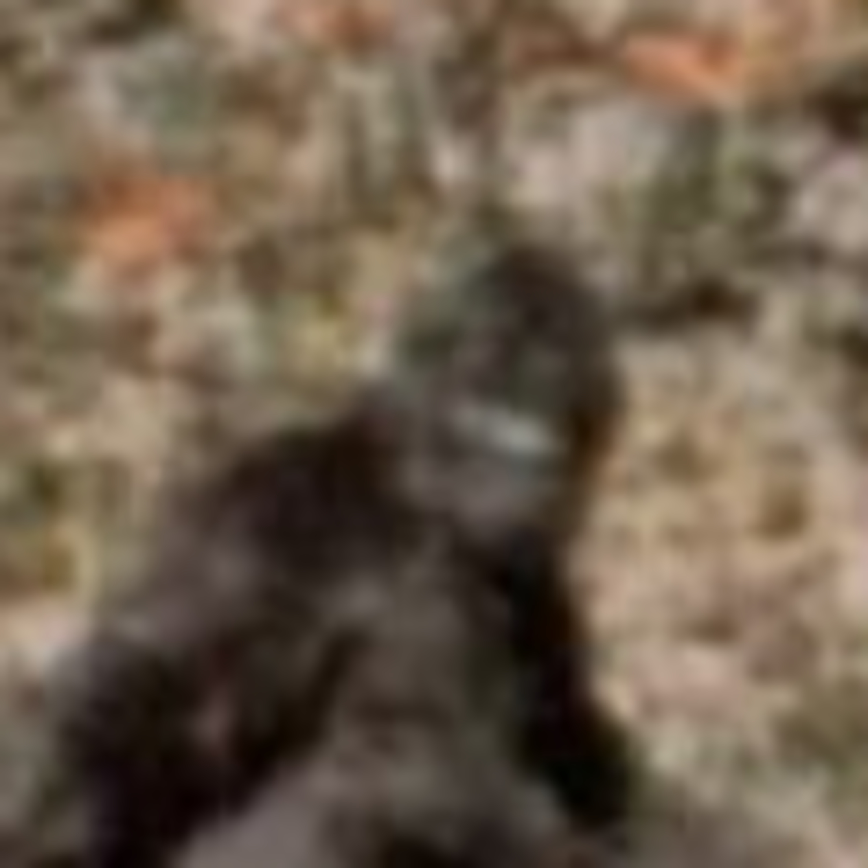 The Bigfoot/ET connection