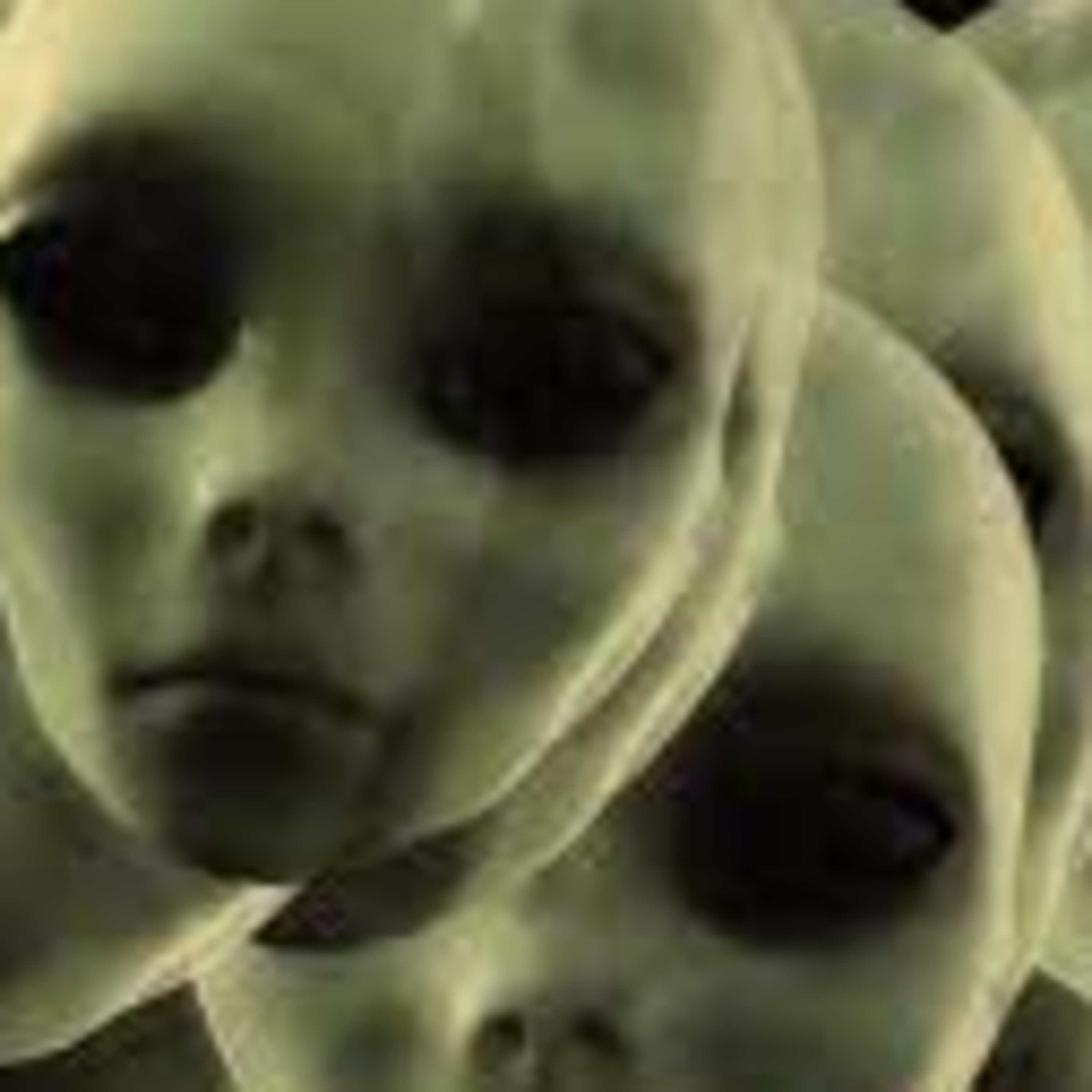 Scientist ignores data on ET/UFOs