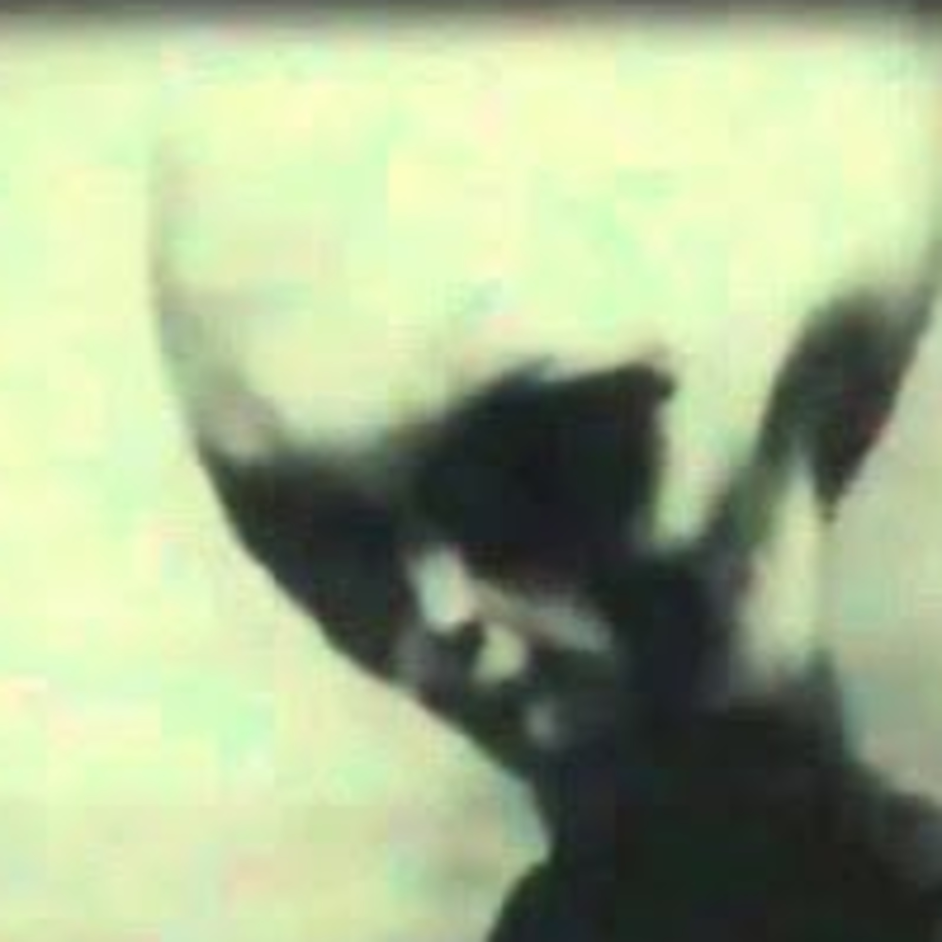 Request made for interview with extraterrestrials