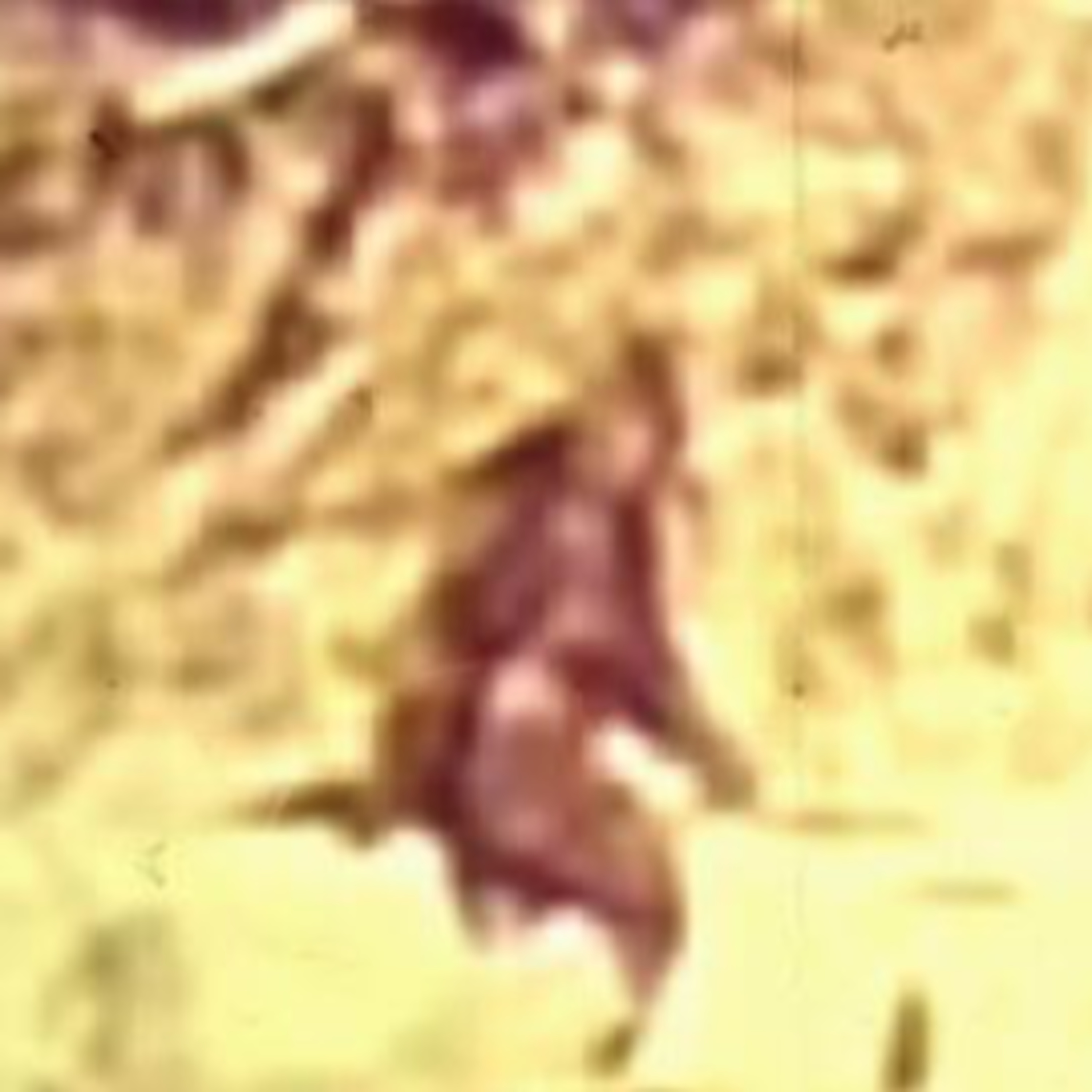 Bigfoot, UFOs and Oumuamua