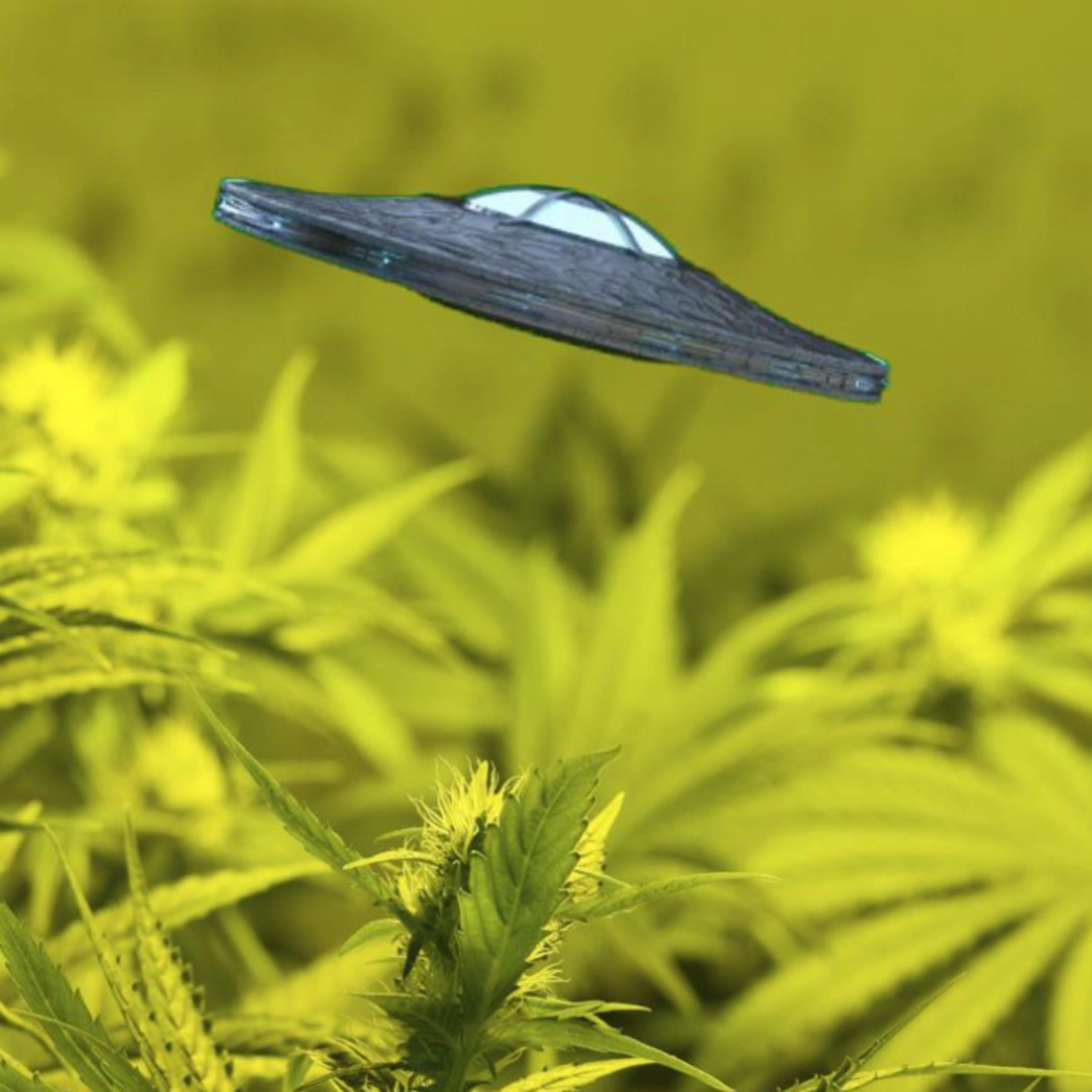 Retired Air Force pilot blames marijuana use and cataracts on UFO sightings