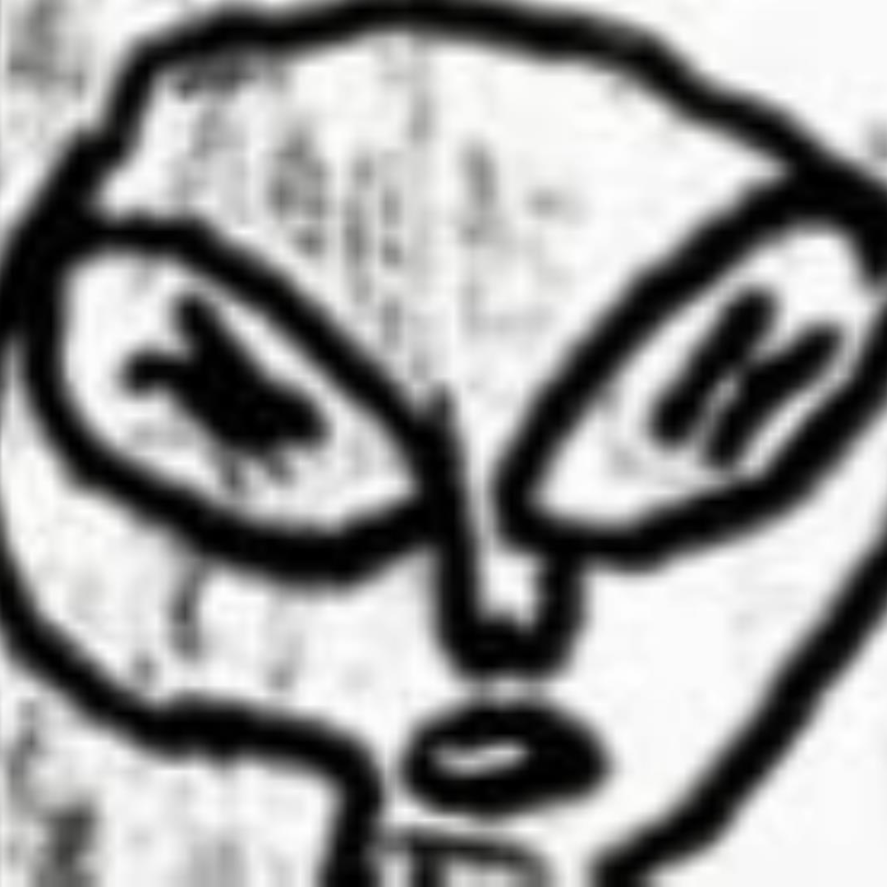 Deciphering the Ariel School aliens' message