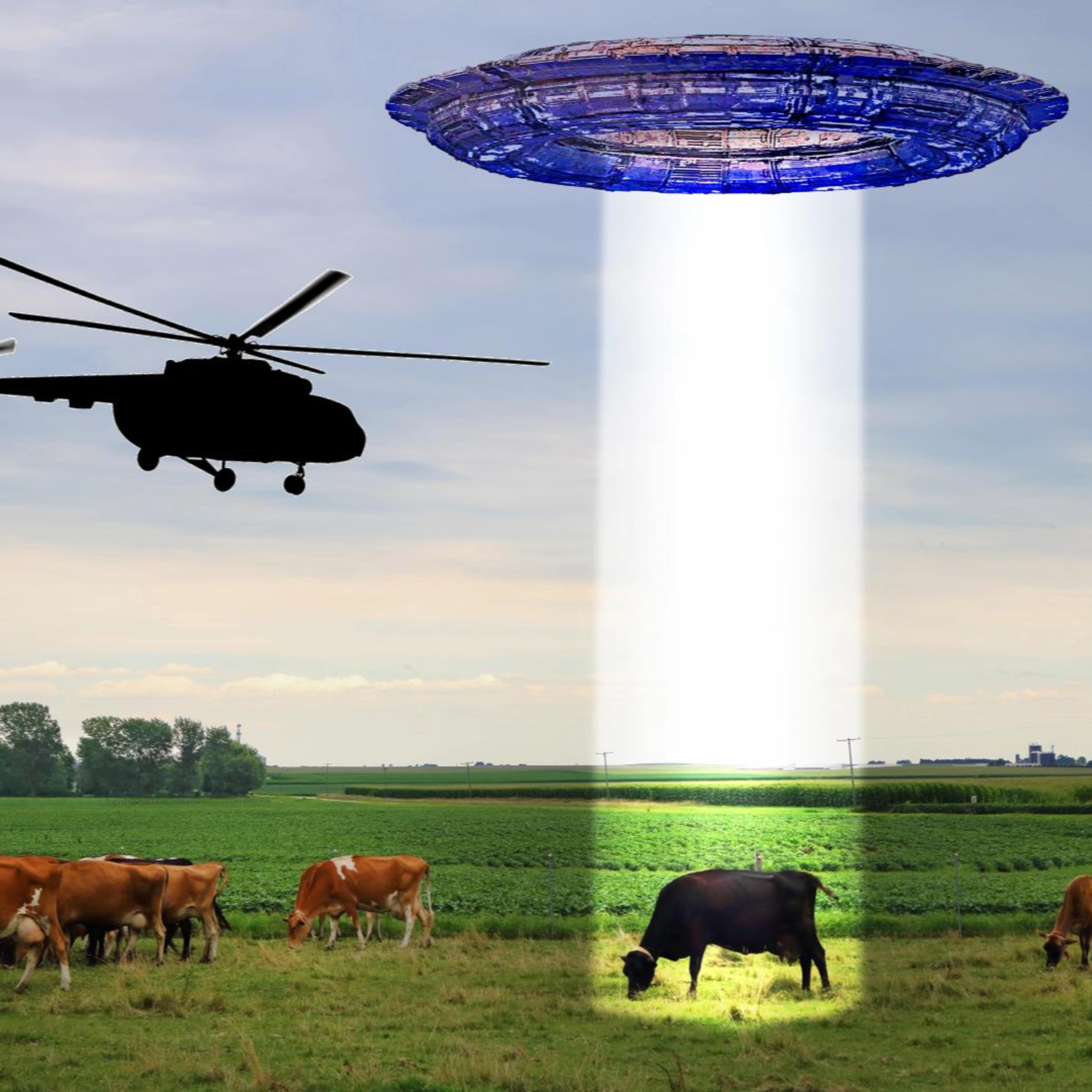 Black Helicopters, Cattle and Aliens