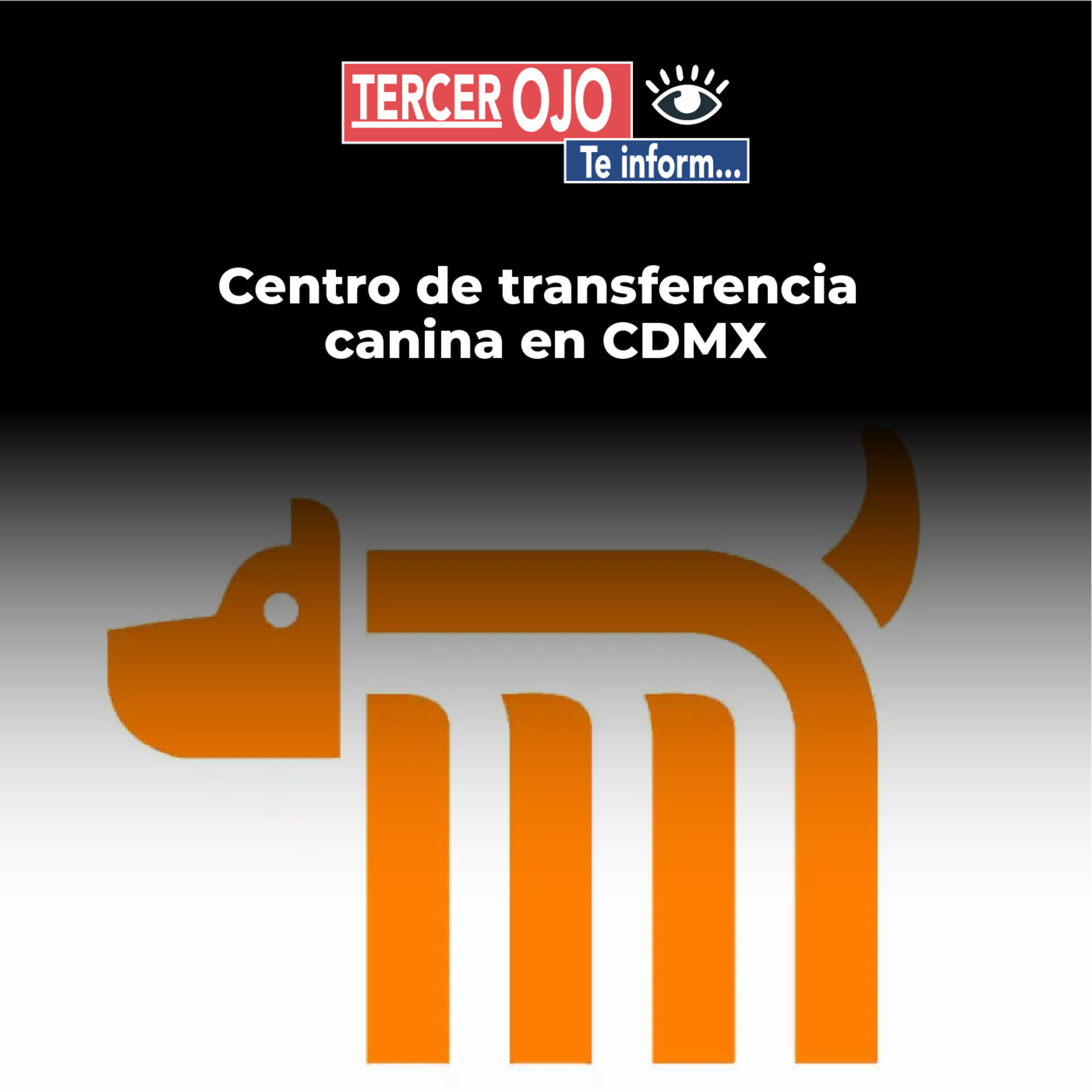 Tercer Ojo te Informa: Centro de transferencia canina en CDMX episode artwork