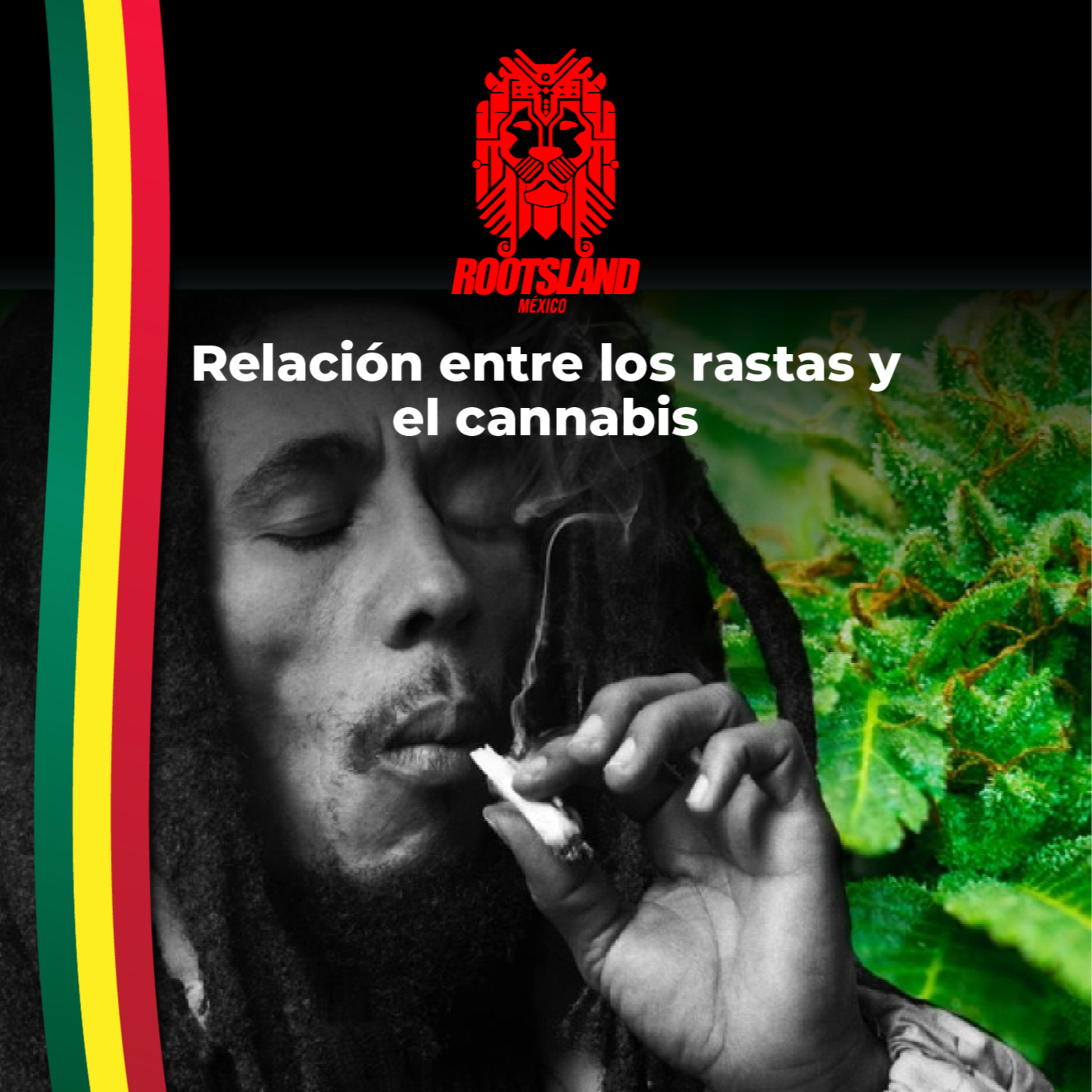 Rootsland Mx: Relación entre los rastas y el cannabis episode artwork