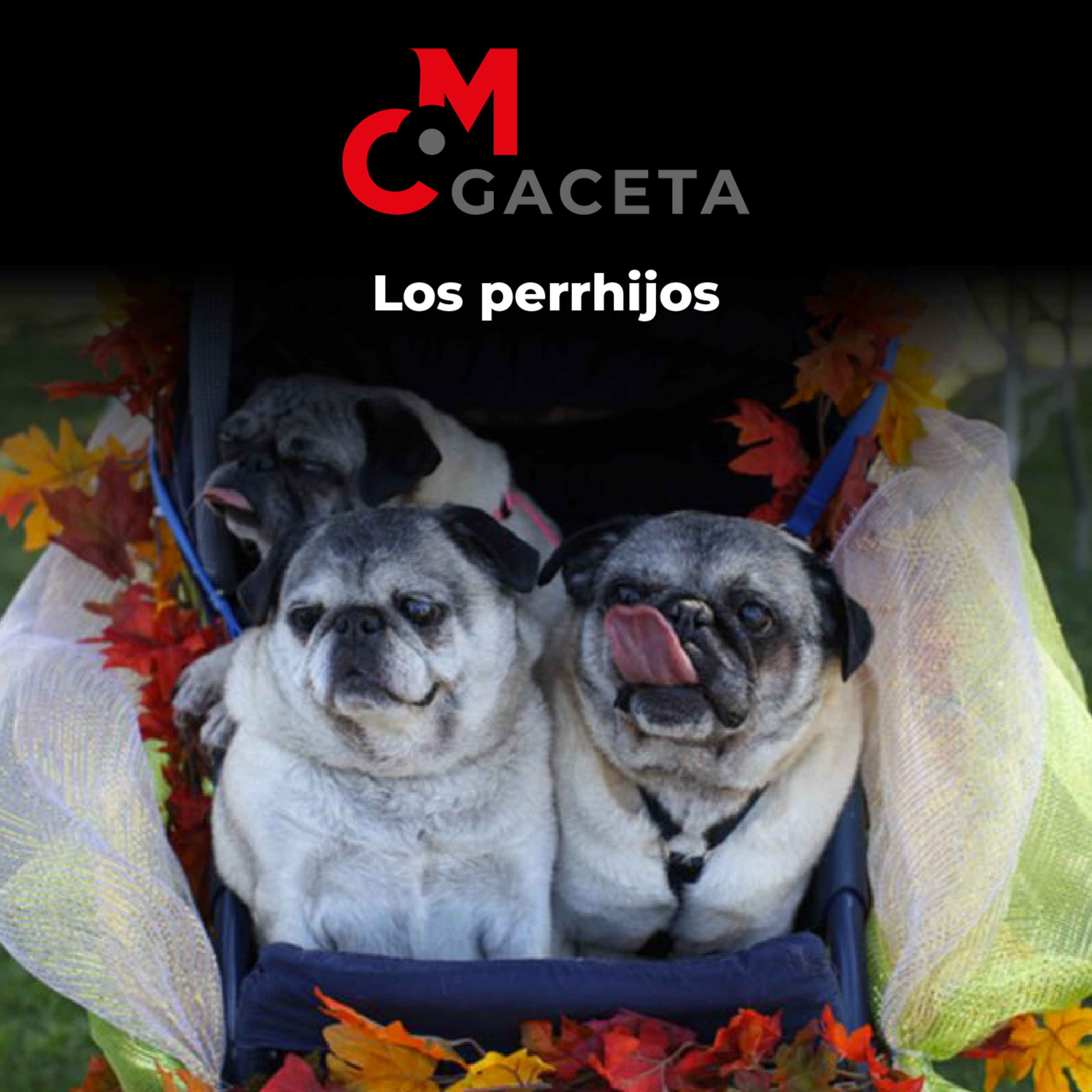 Gaceta Mc: Los perrhijos  episode artwork