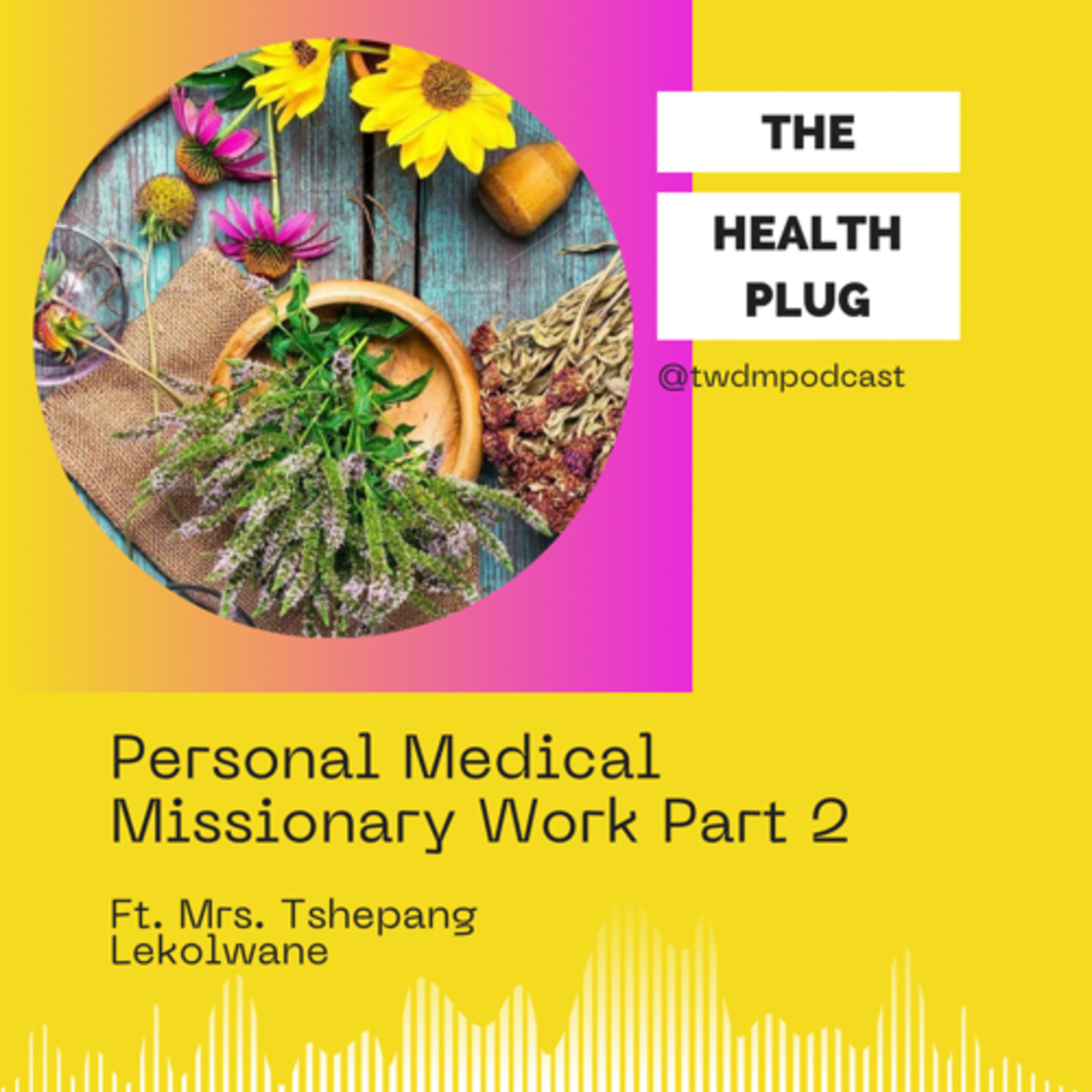Personal Medical Missionary Work:Part 2
