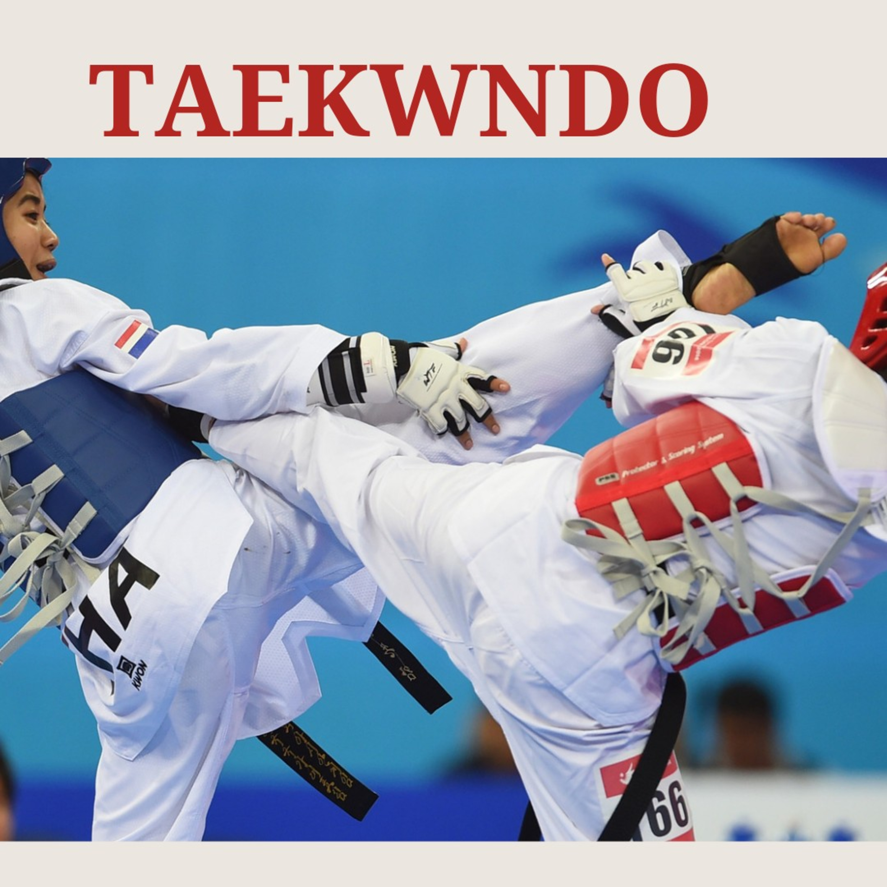 Taekwondo  episode artwork