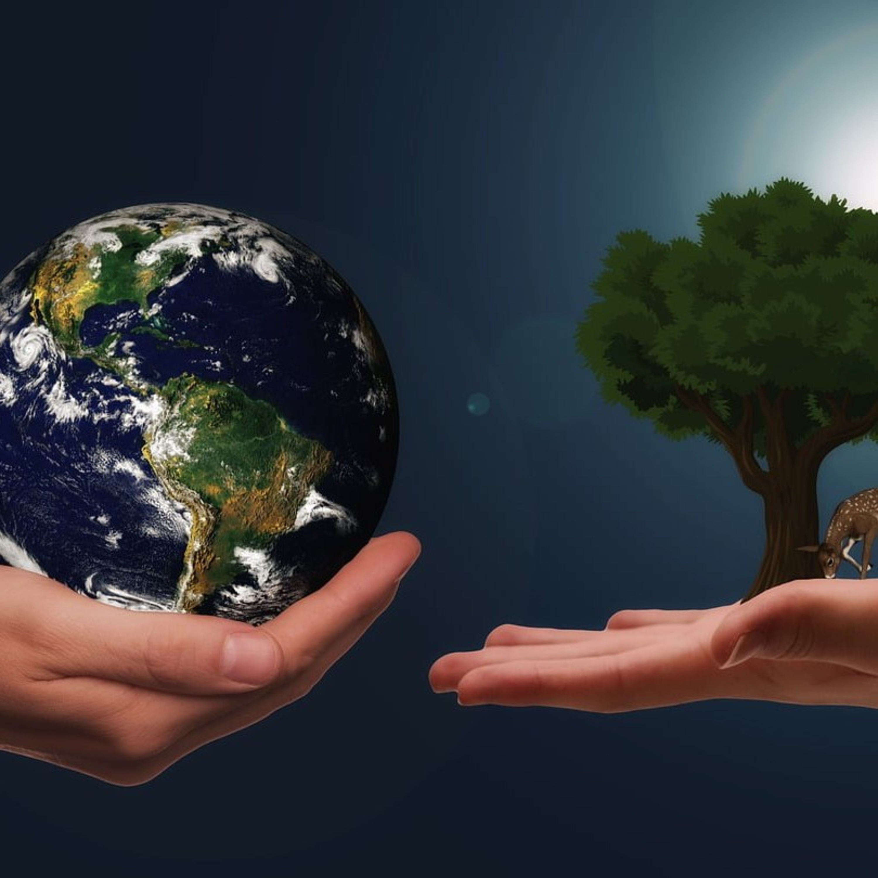 SUSTENTABILIDAD  episode artwork