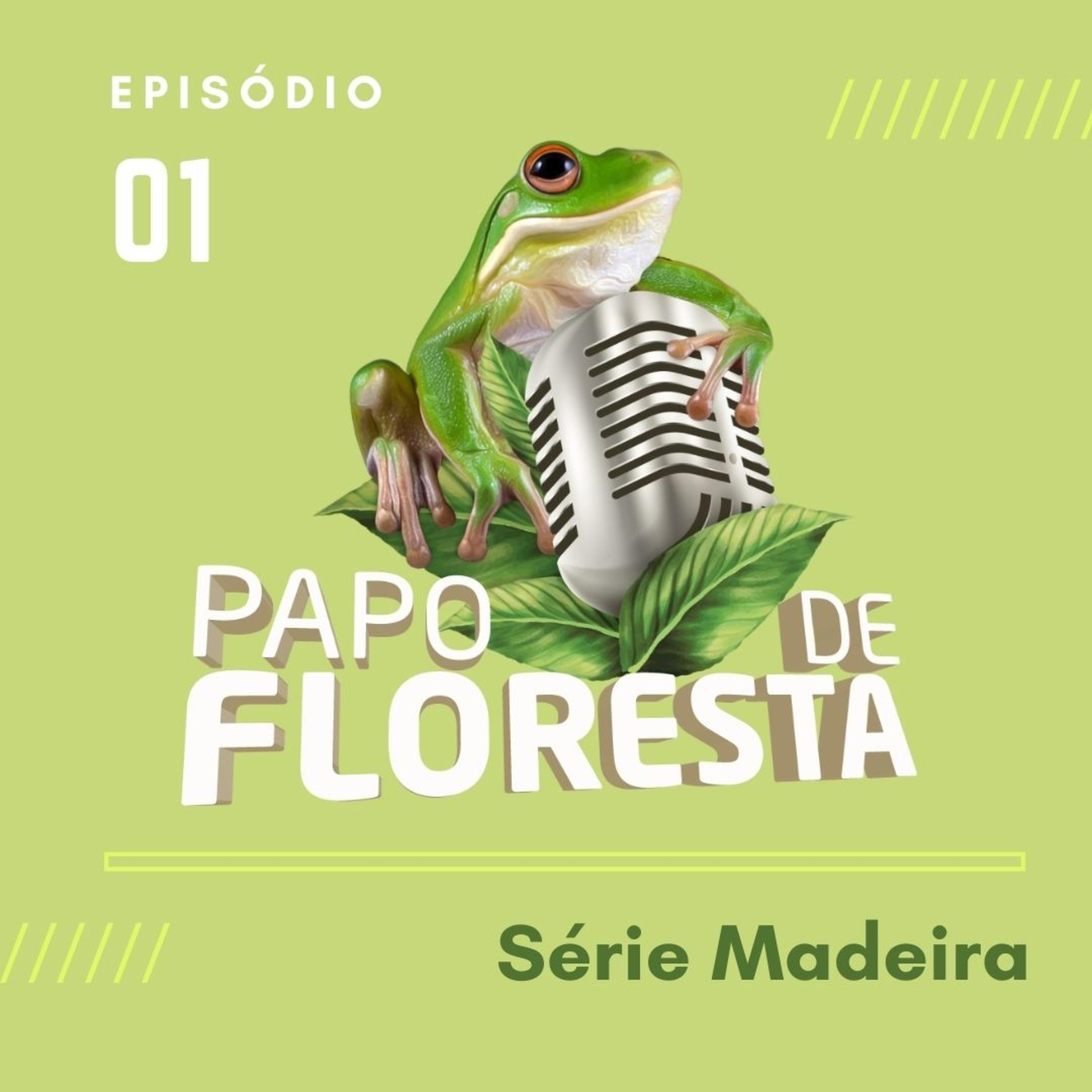 Papo de Floresta