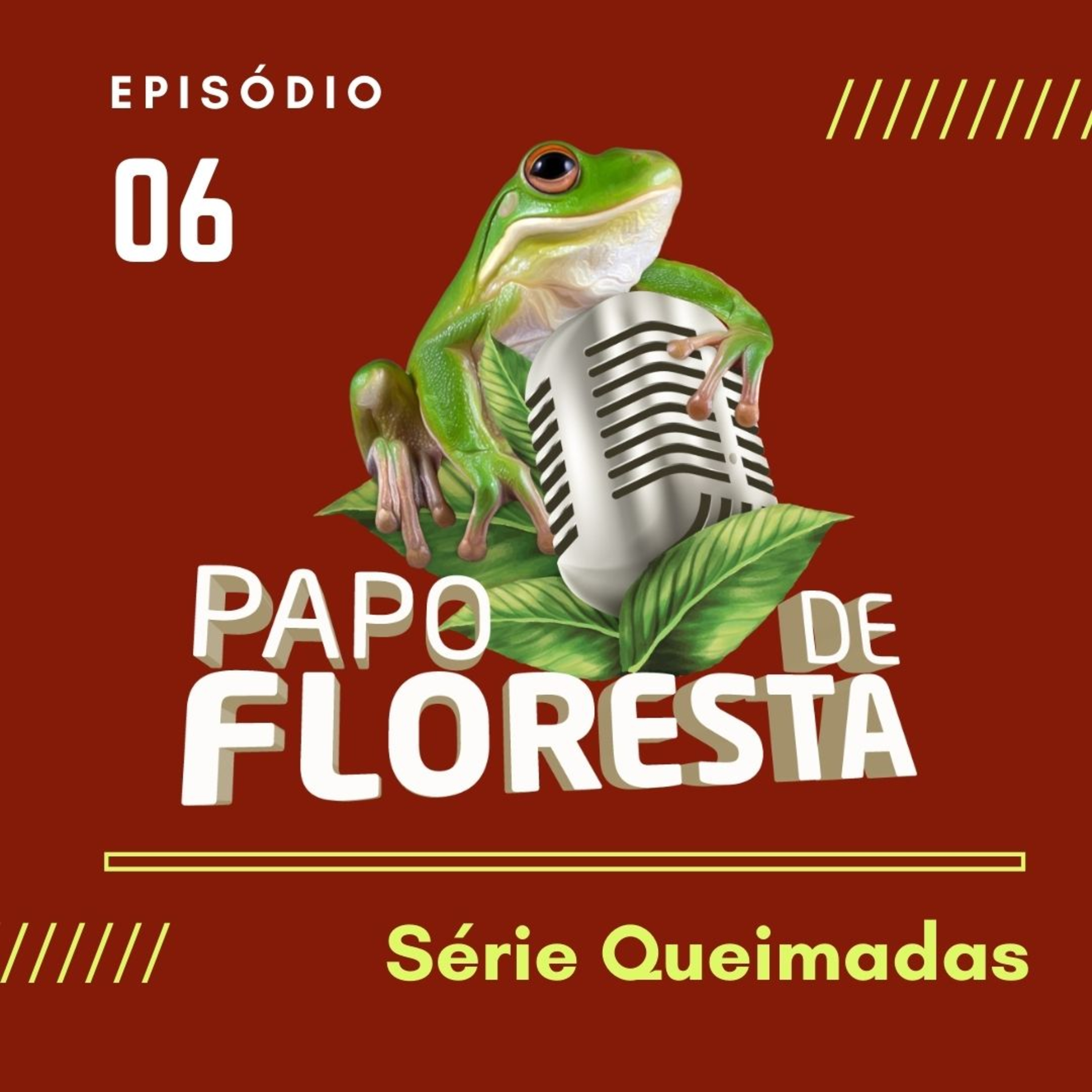 Papo de Floresta
