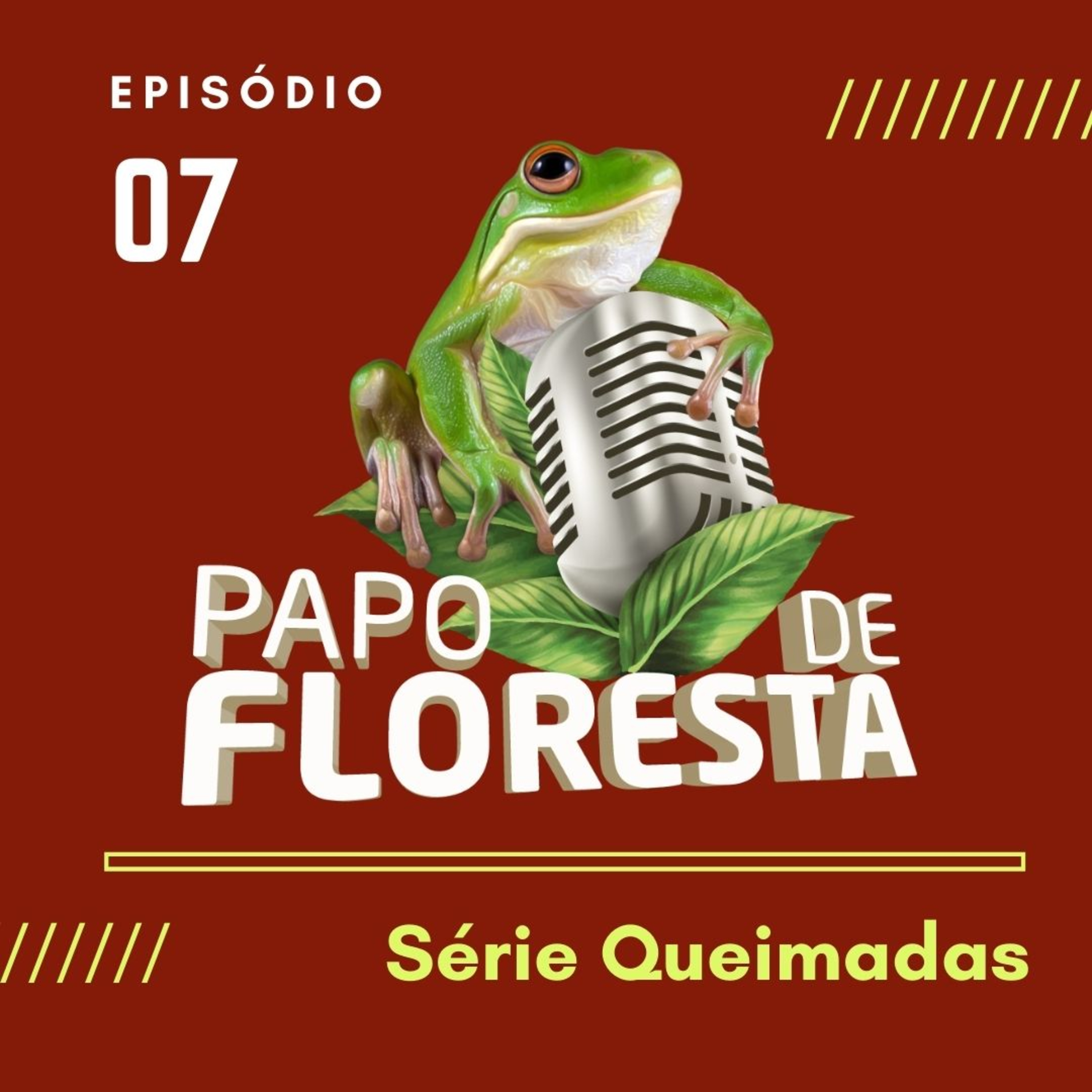 Papo de Floresta