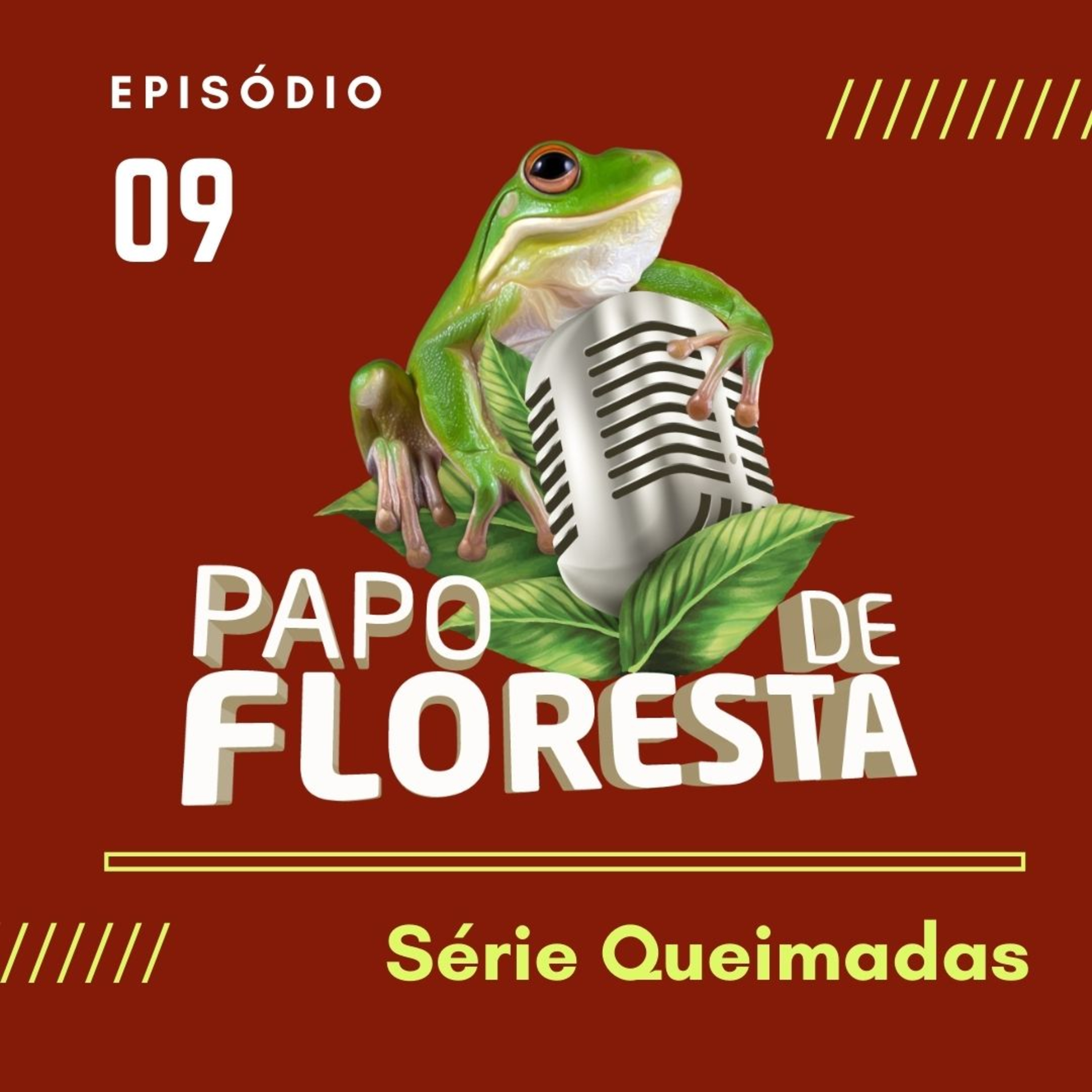 Papo de Floresta