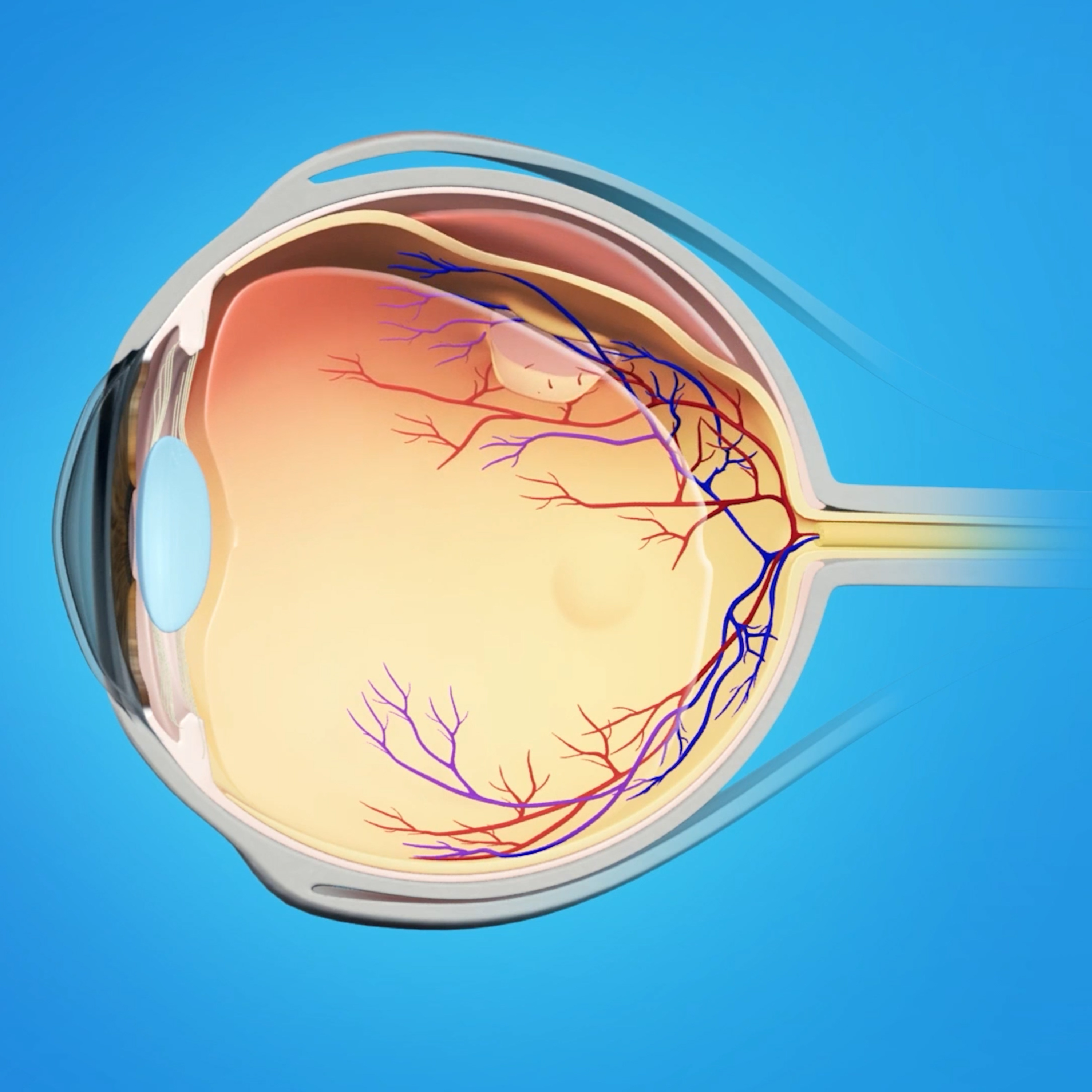 Visare Hospital de Olhos