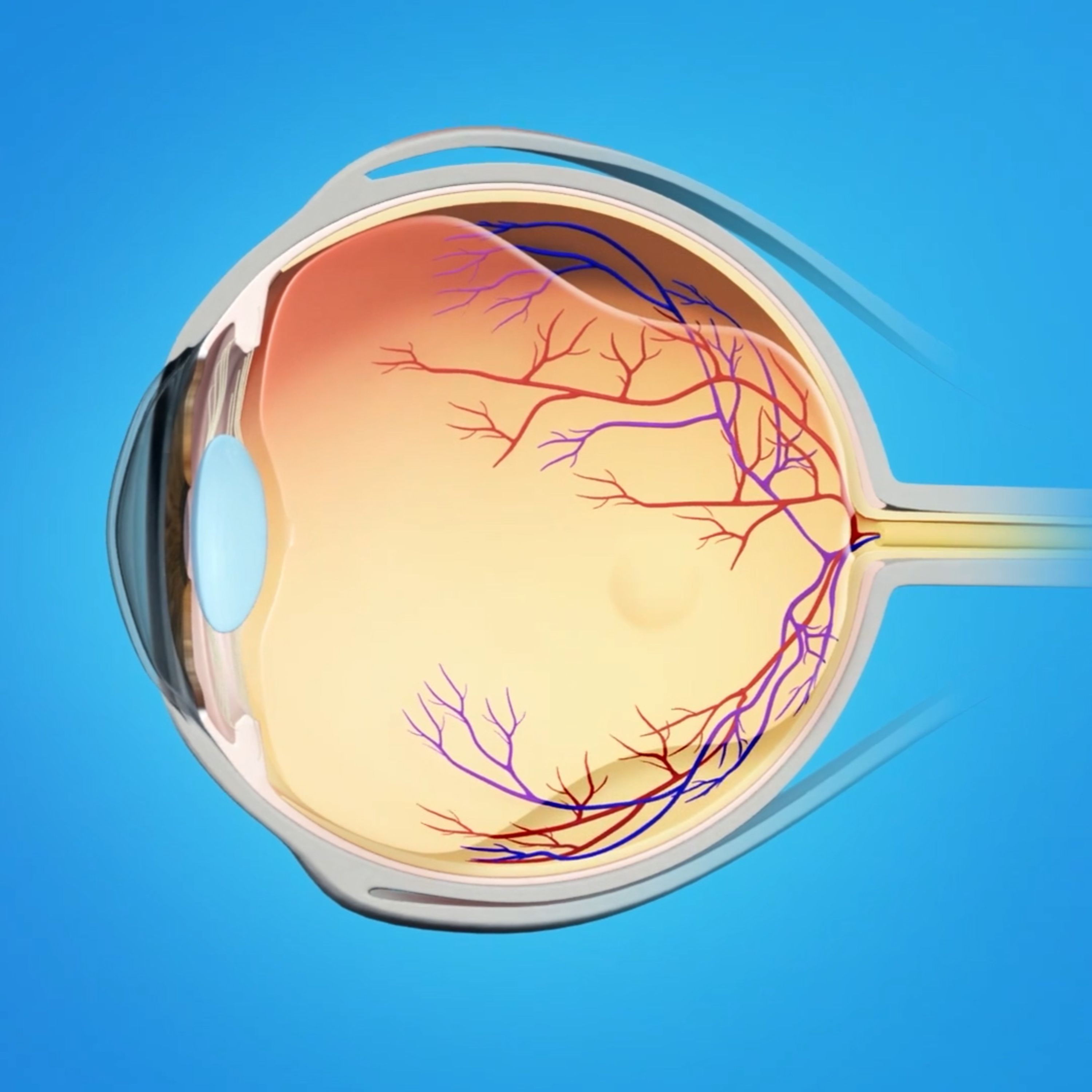 Visare Hospital de Olhos